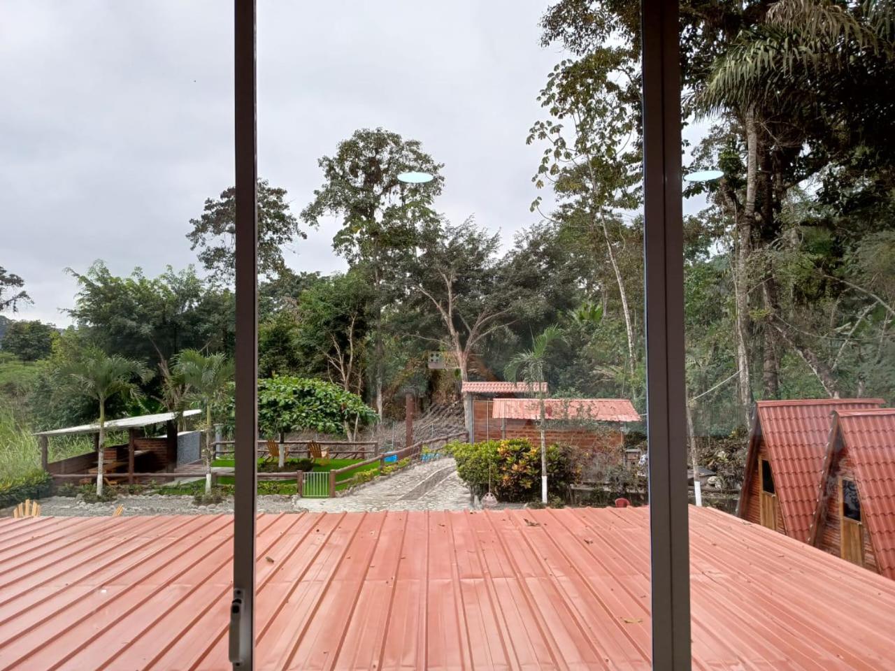 Palmerai BUCAY
