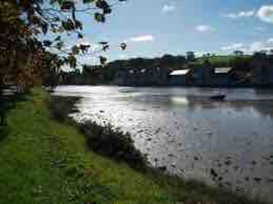Photo 40