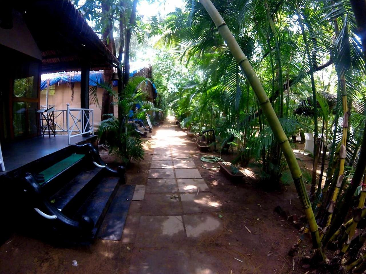 Photo 13