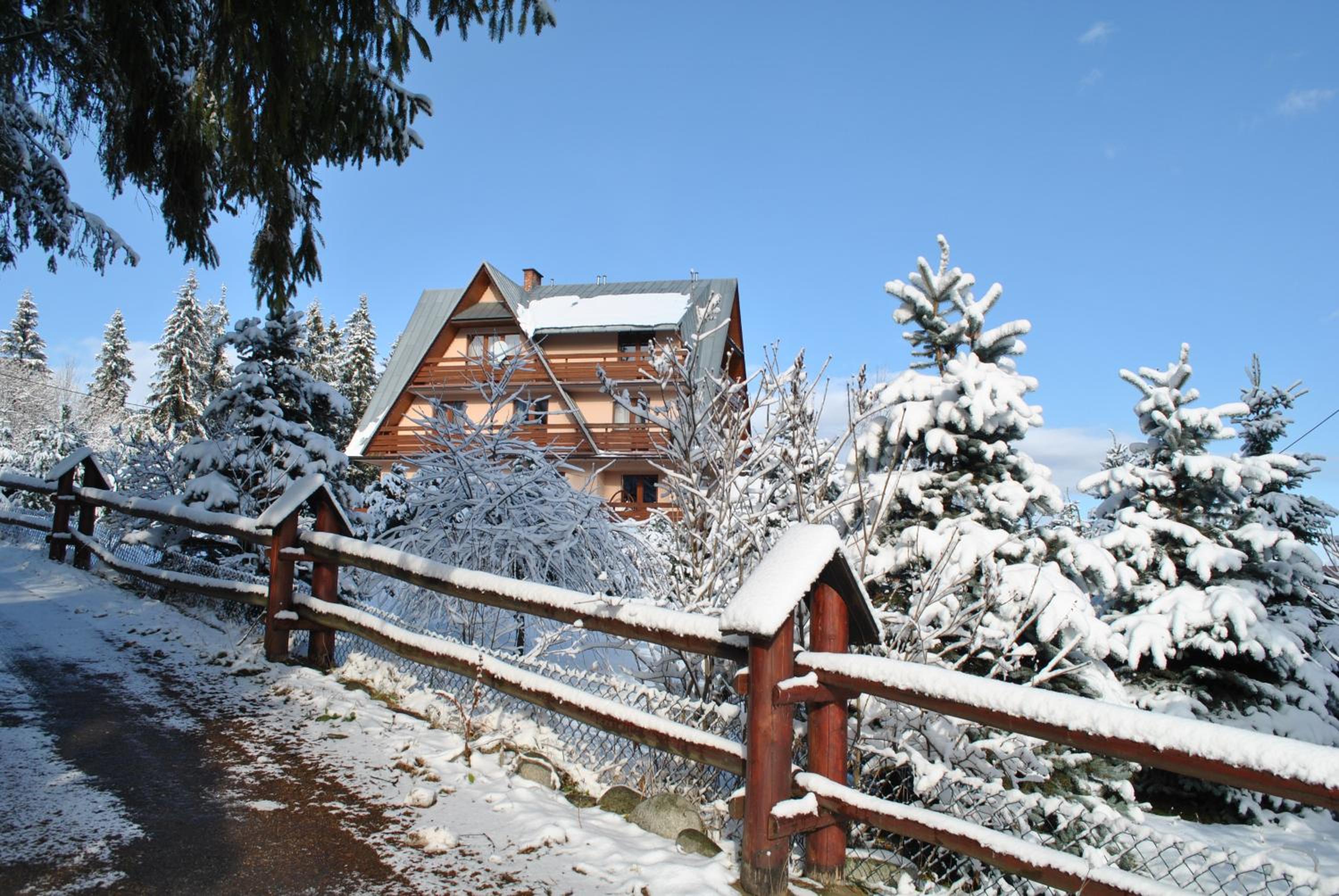 Photo 6