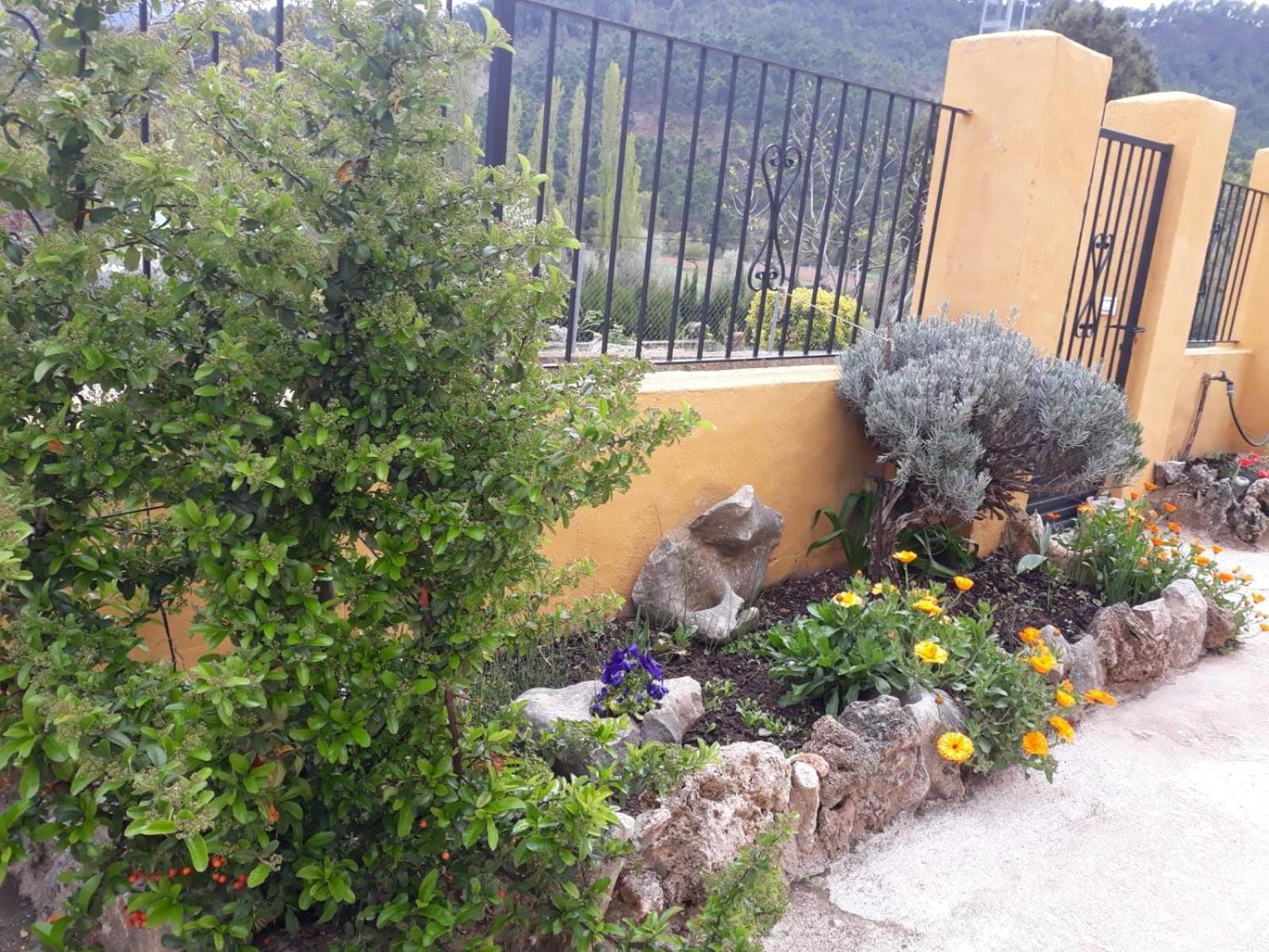 Photo 31