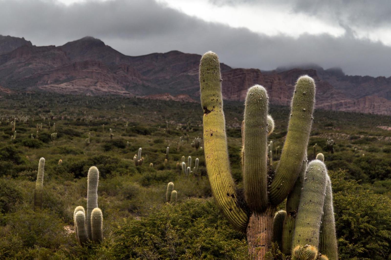 Estancia Banda Grande - horse & hiking safaris