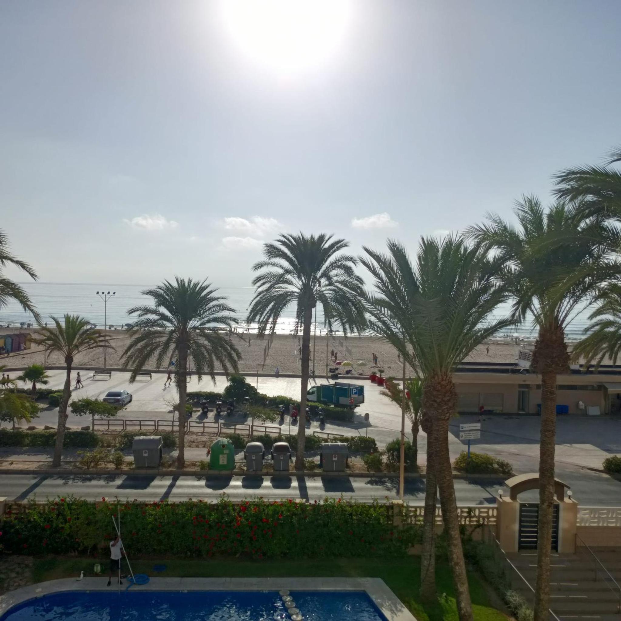 Oasis Urbano Playa Alicante