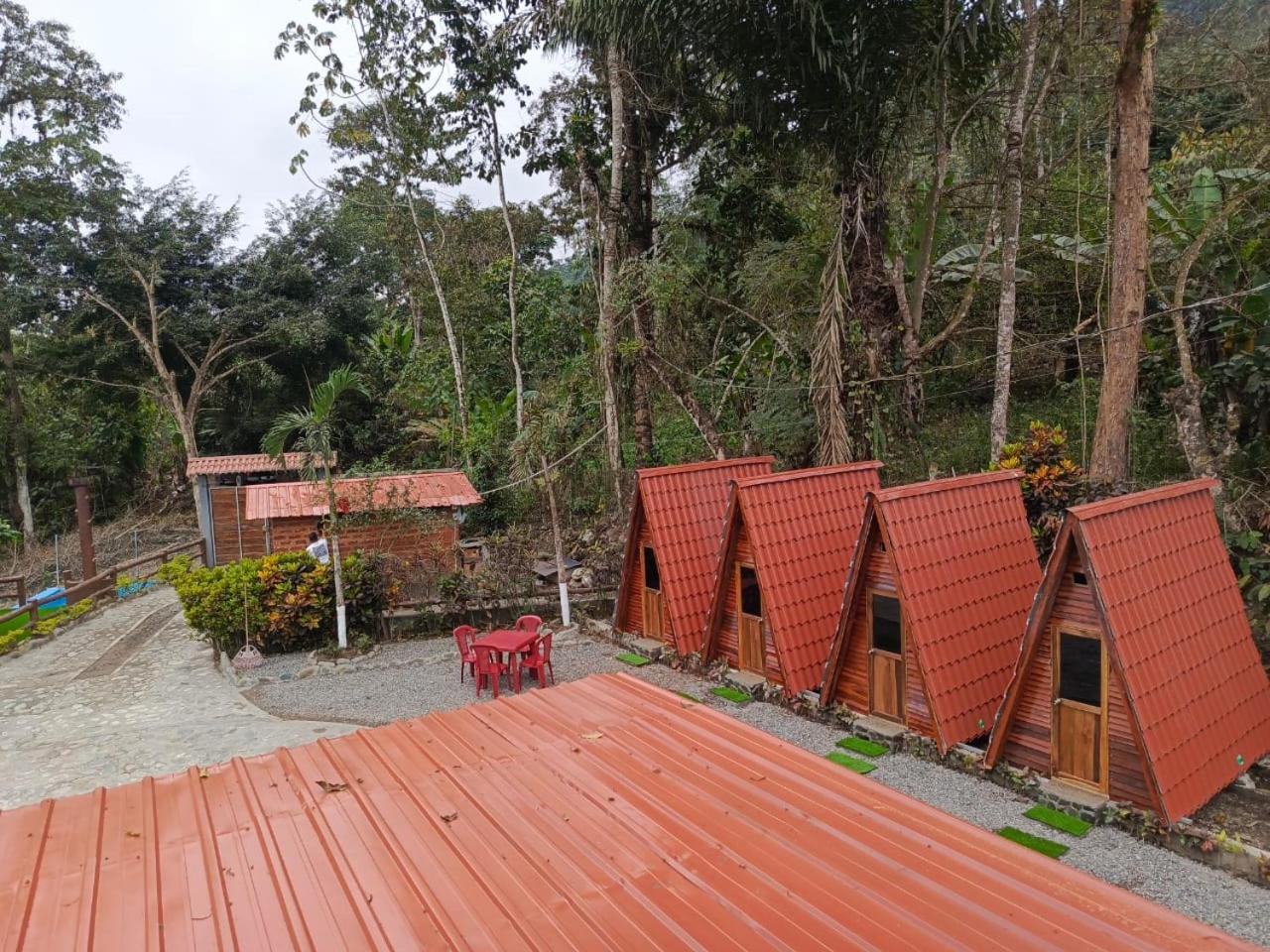 Palmerai BUCAY