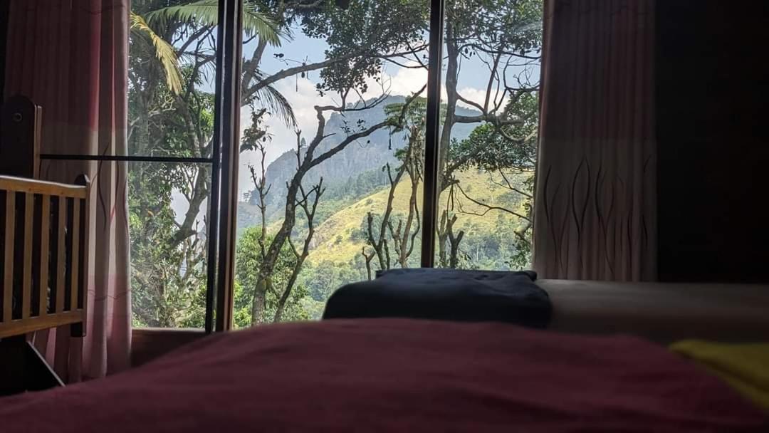 Ella Nature Shade view 4