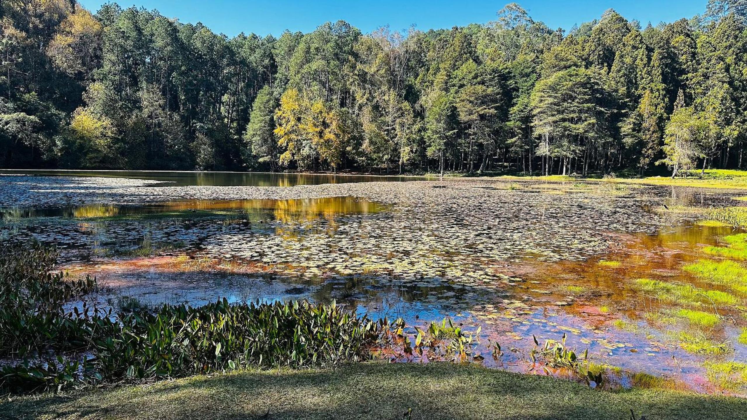 Casa do Lago em Campos do Jordão