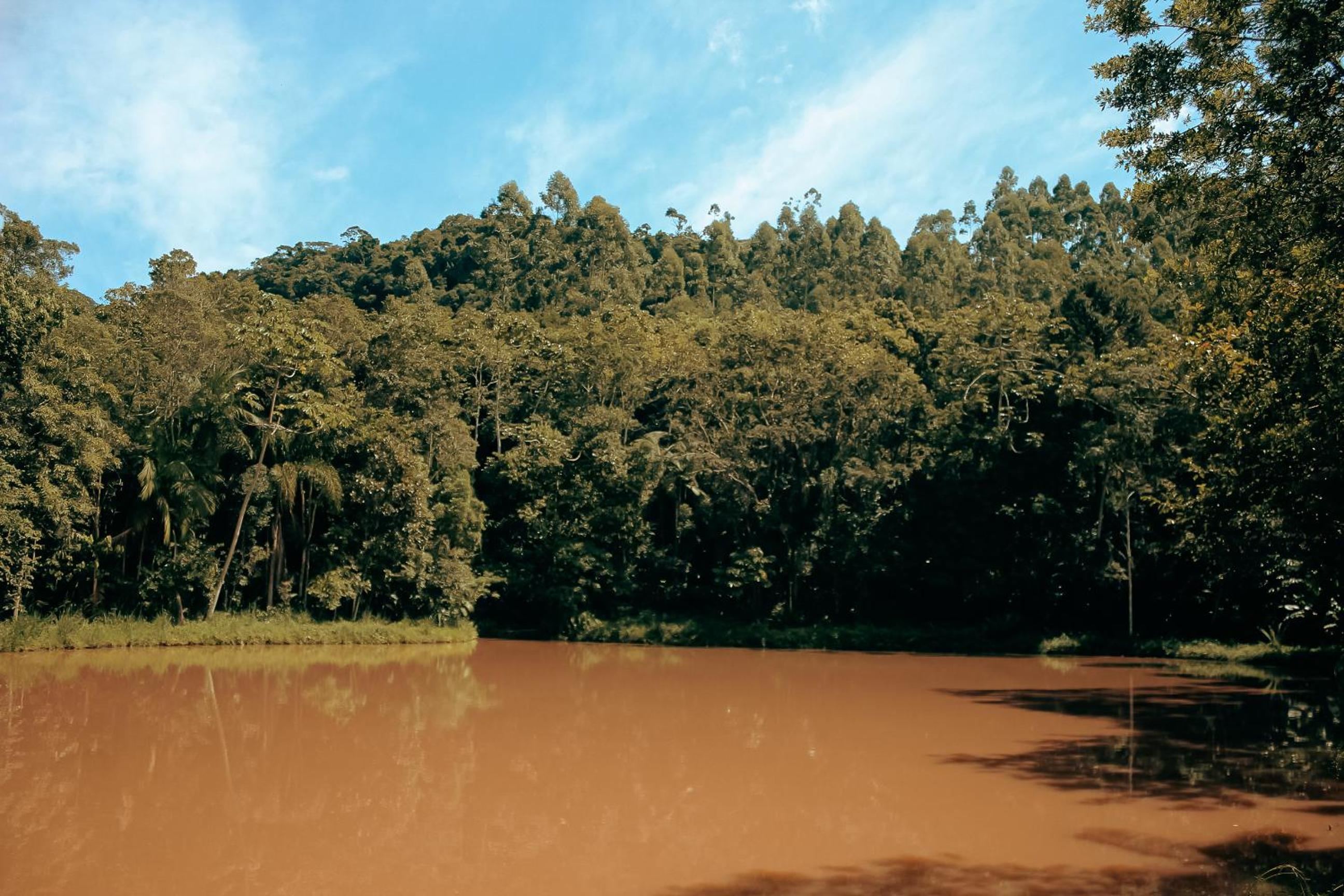 Morada João de Barro
