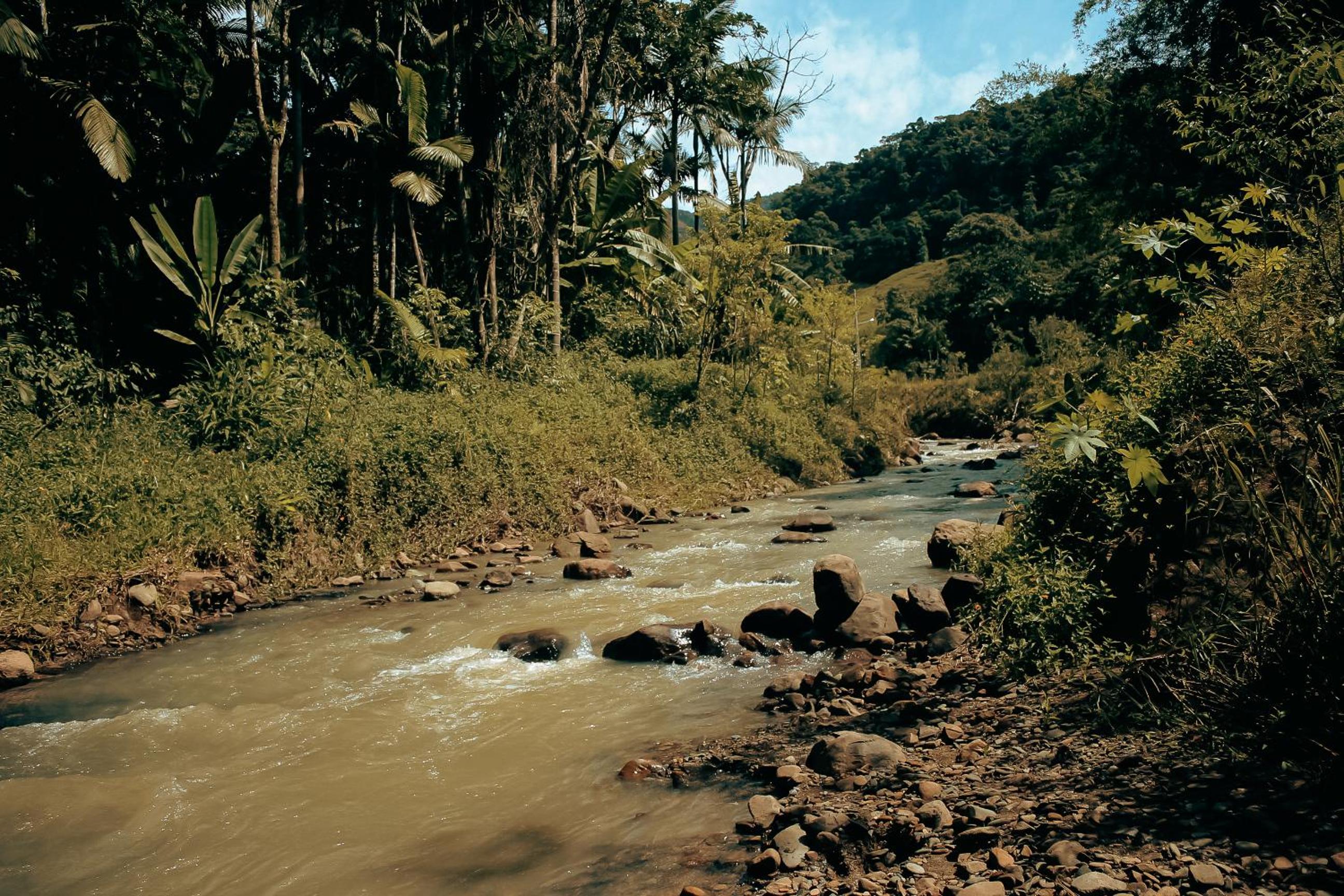 Morada João de Barro