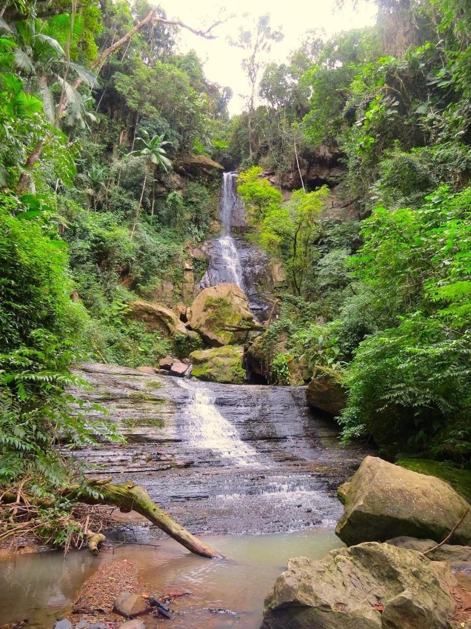 Morada João de Barro