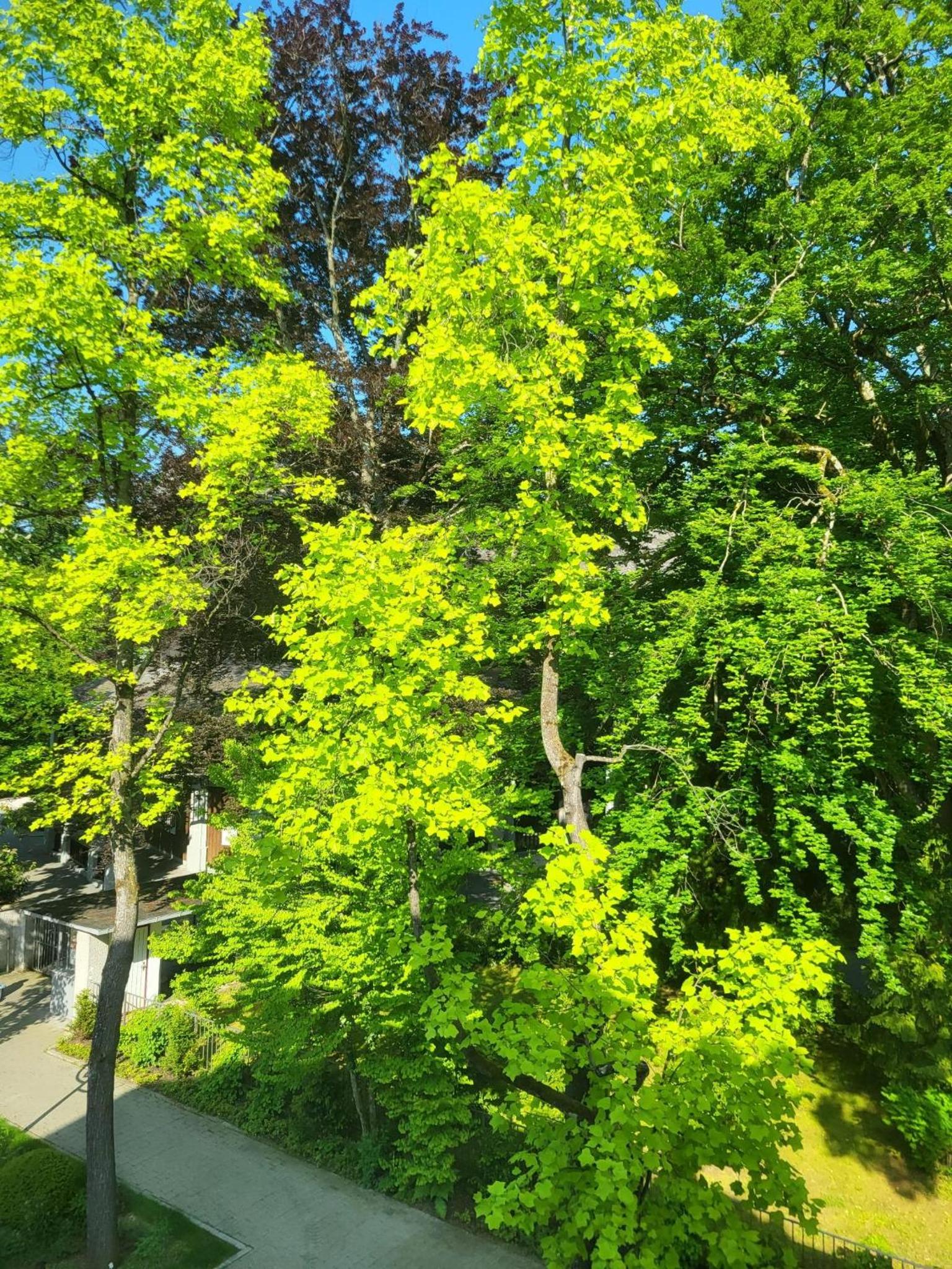 Ferienwohnung am Kurpark - Bahnhofstraße 21