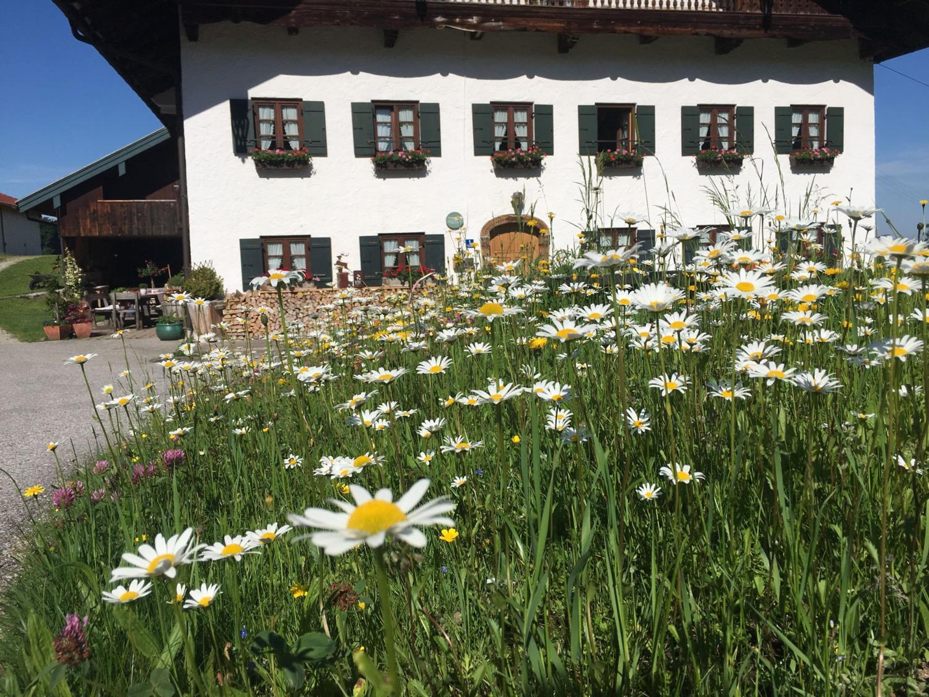 Stadlerhof
