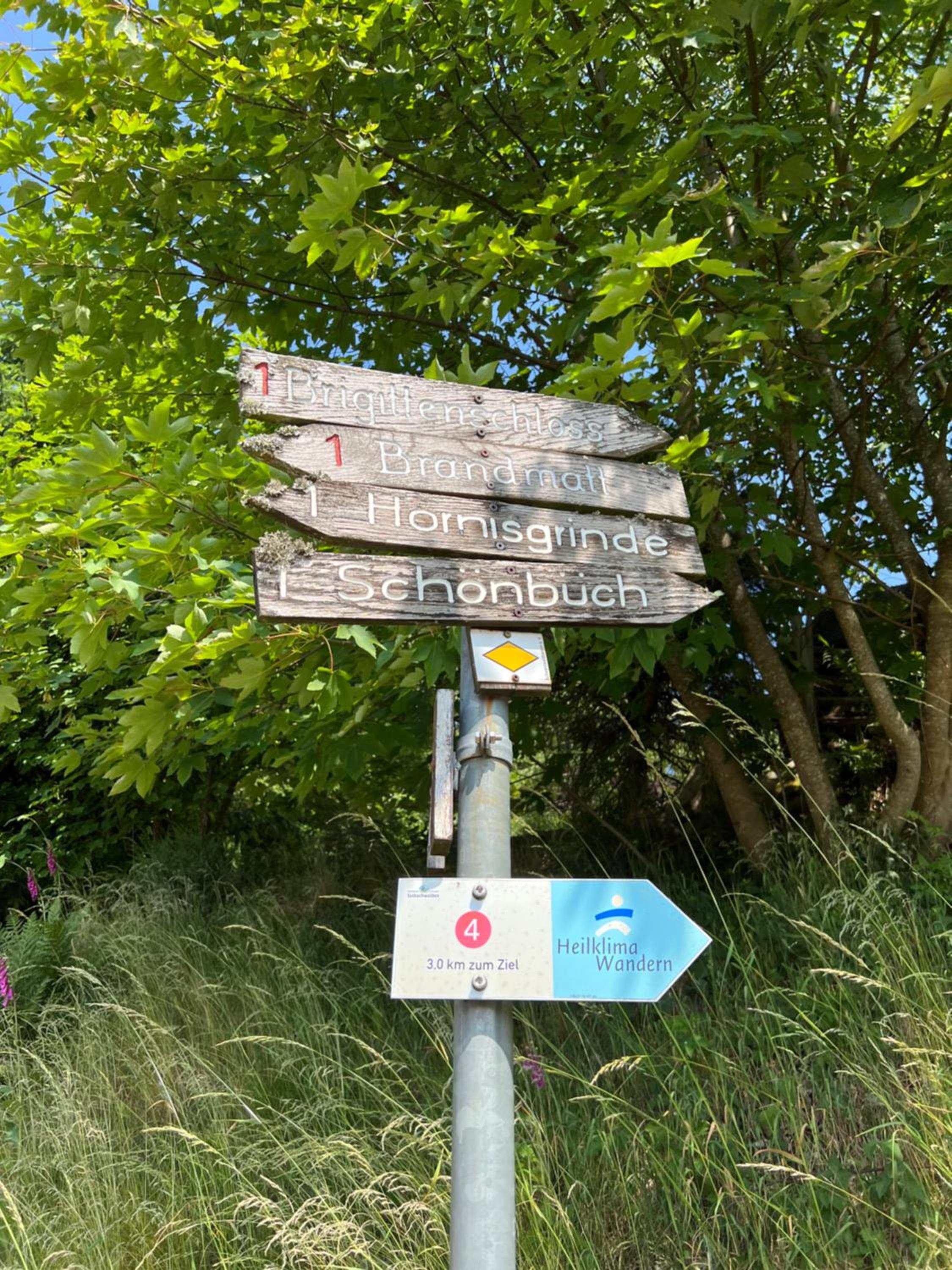 An Wanderwegen gelegen mit Terrasse und Boxspringbett