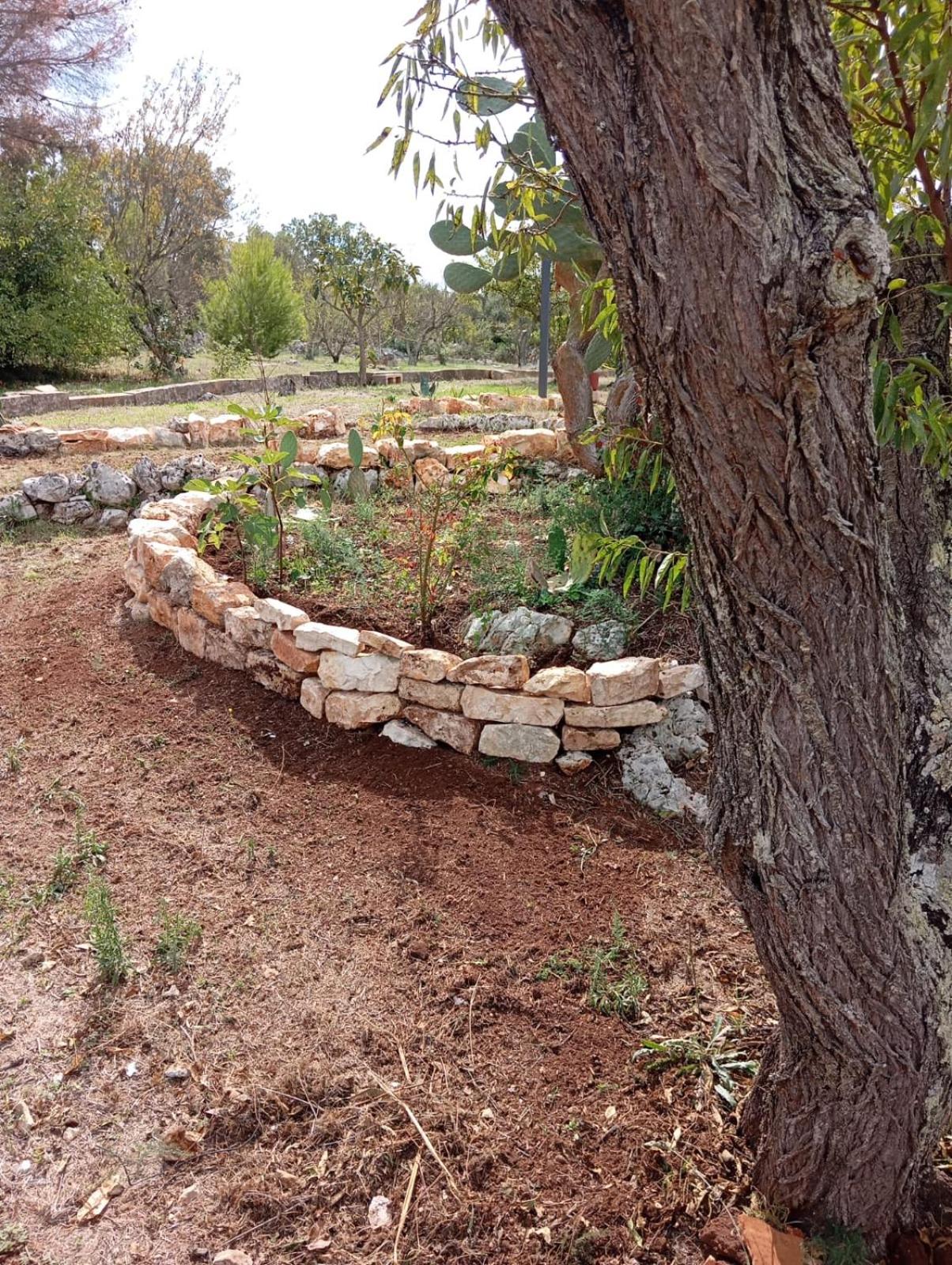 Photo 27