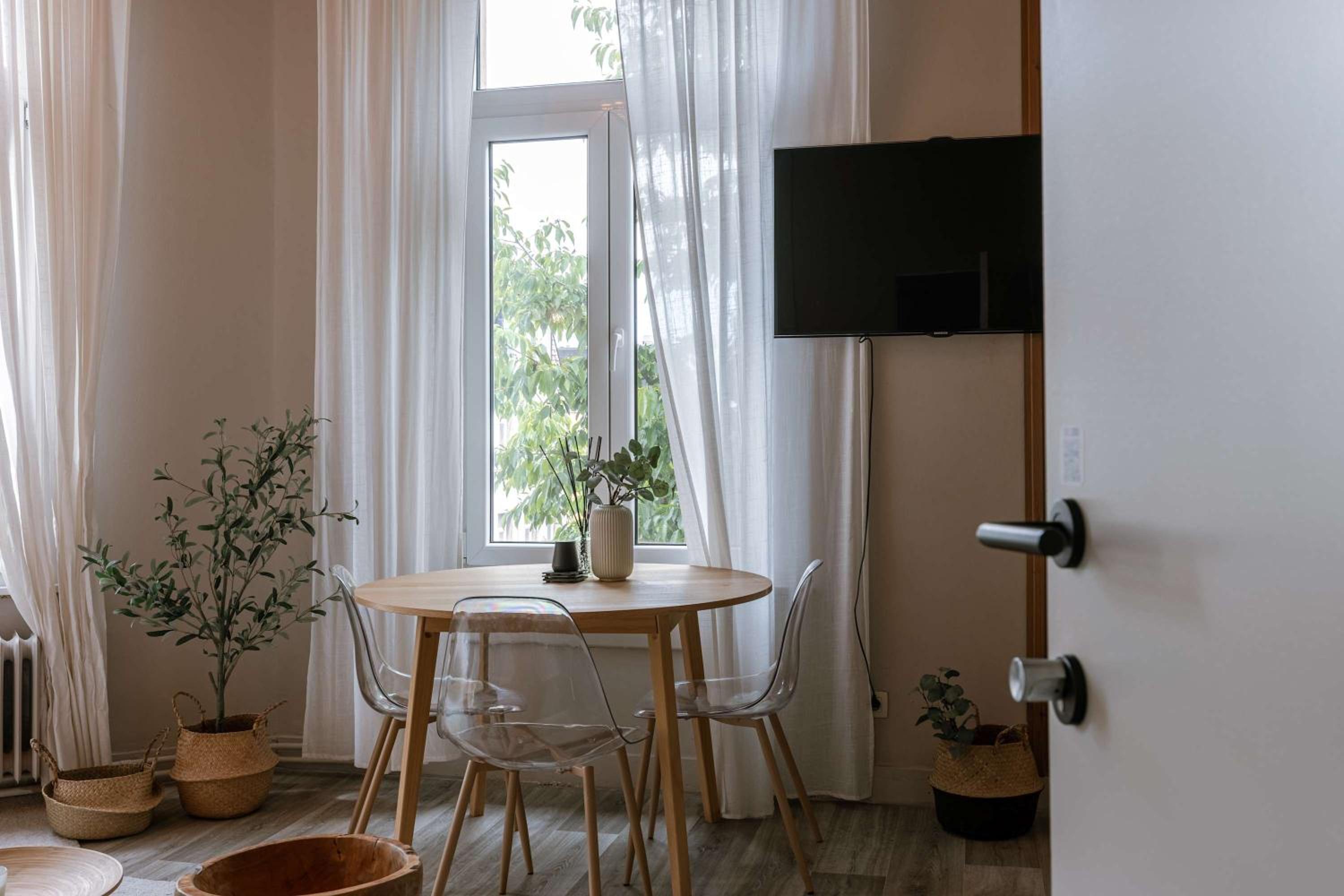 Cozy apartment in Antwerps vibrant shopping district, Pets are welcome
