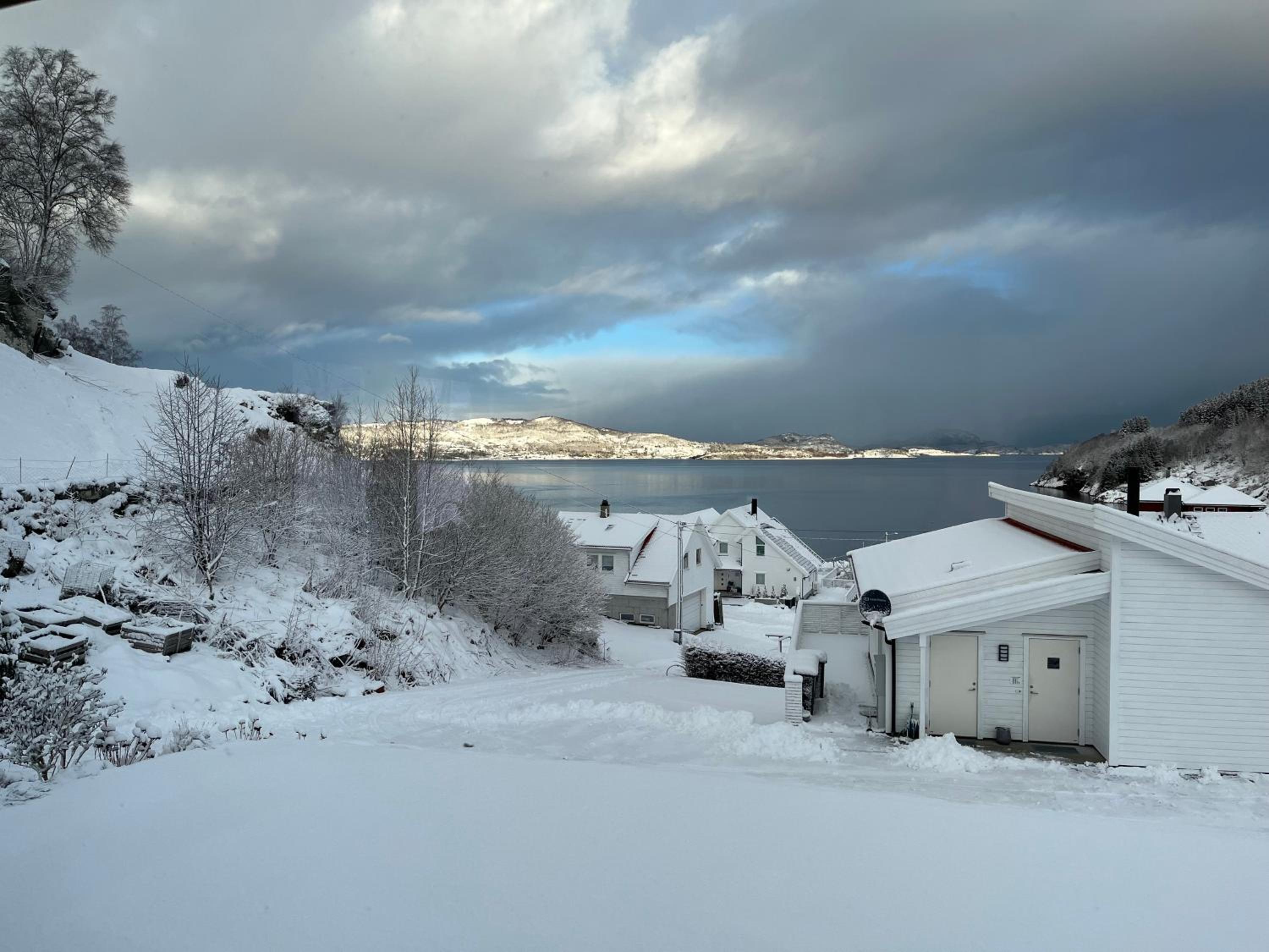 Kjølevik