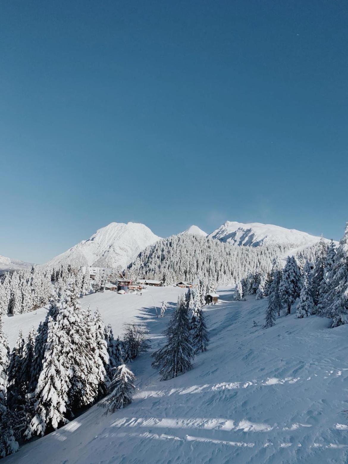 Apartma v objemu gora - Krvavec view 3