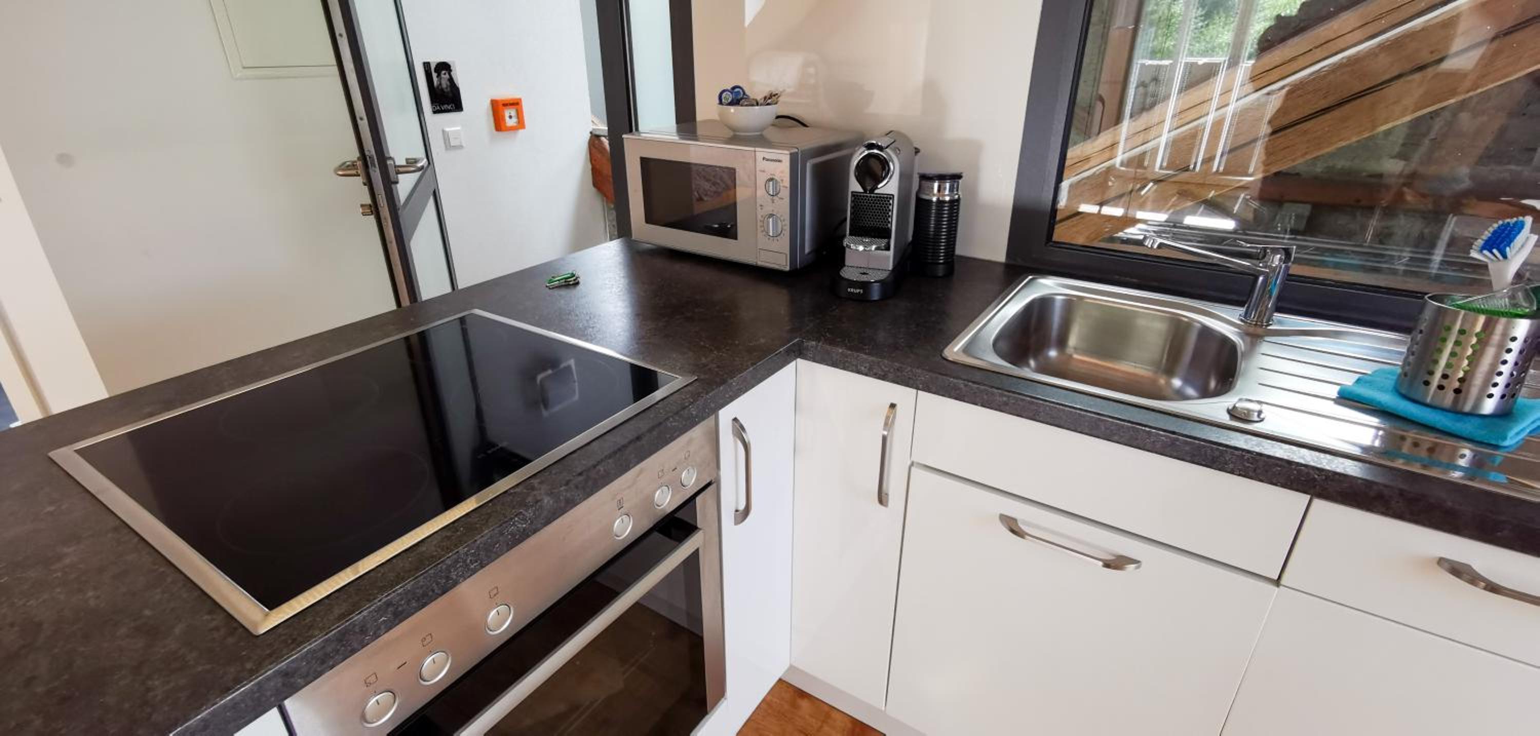 Exklusive Penthouse Wohnung, nahe zur Schweiz DA VINCI