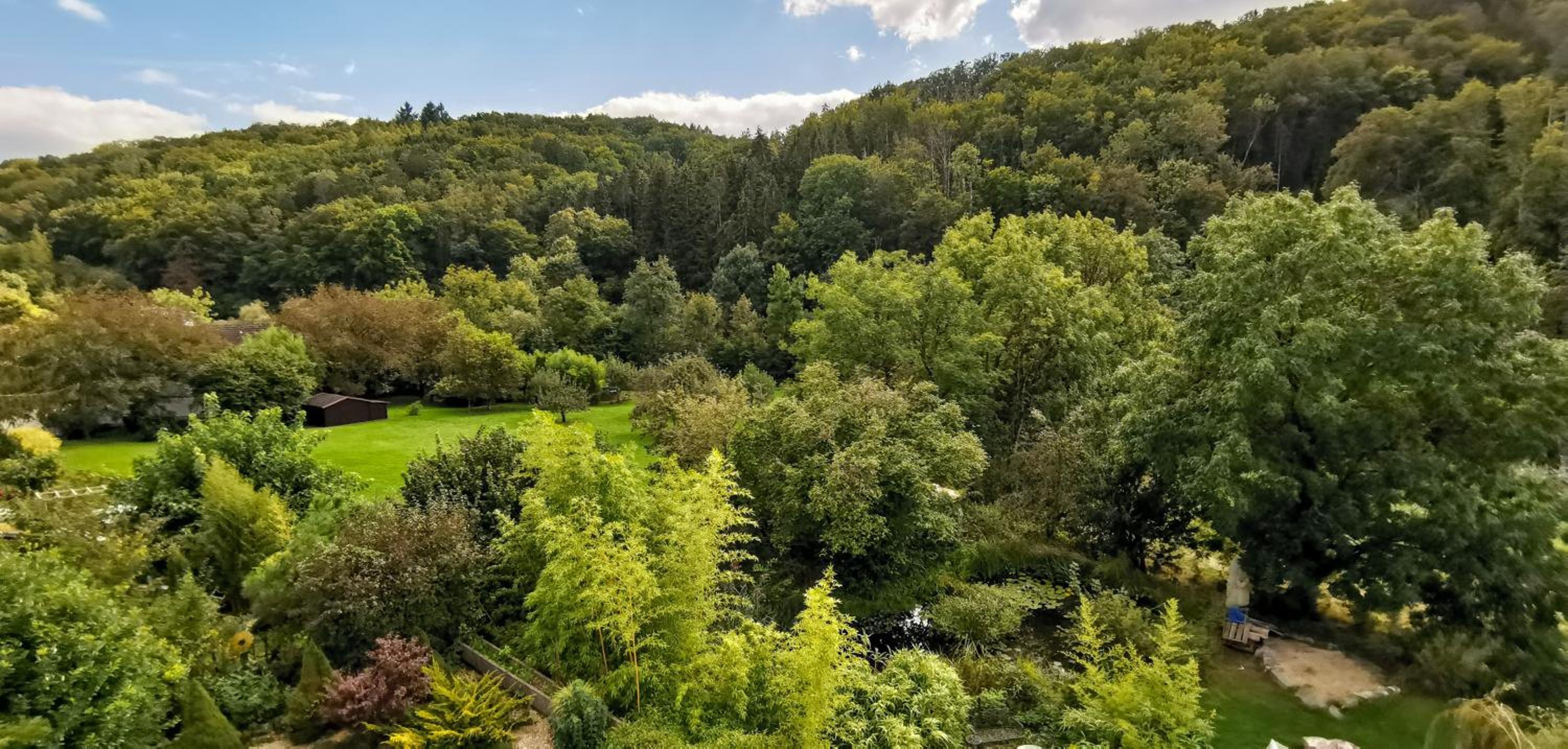 Exklusive Penthouse Wohnung, nahe zur Schweiz DA VINCI