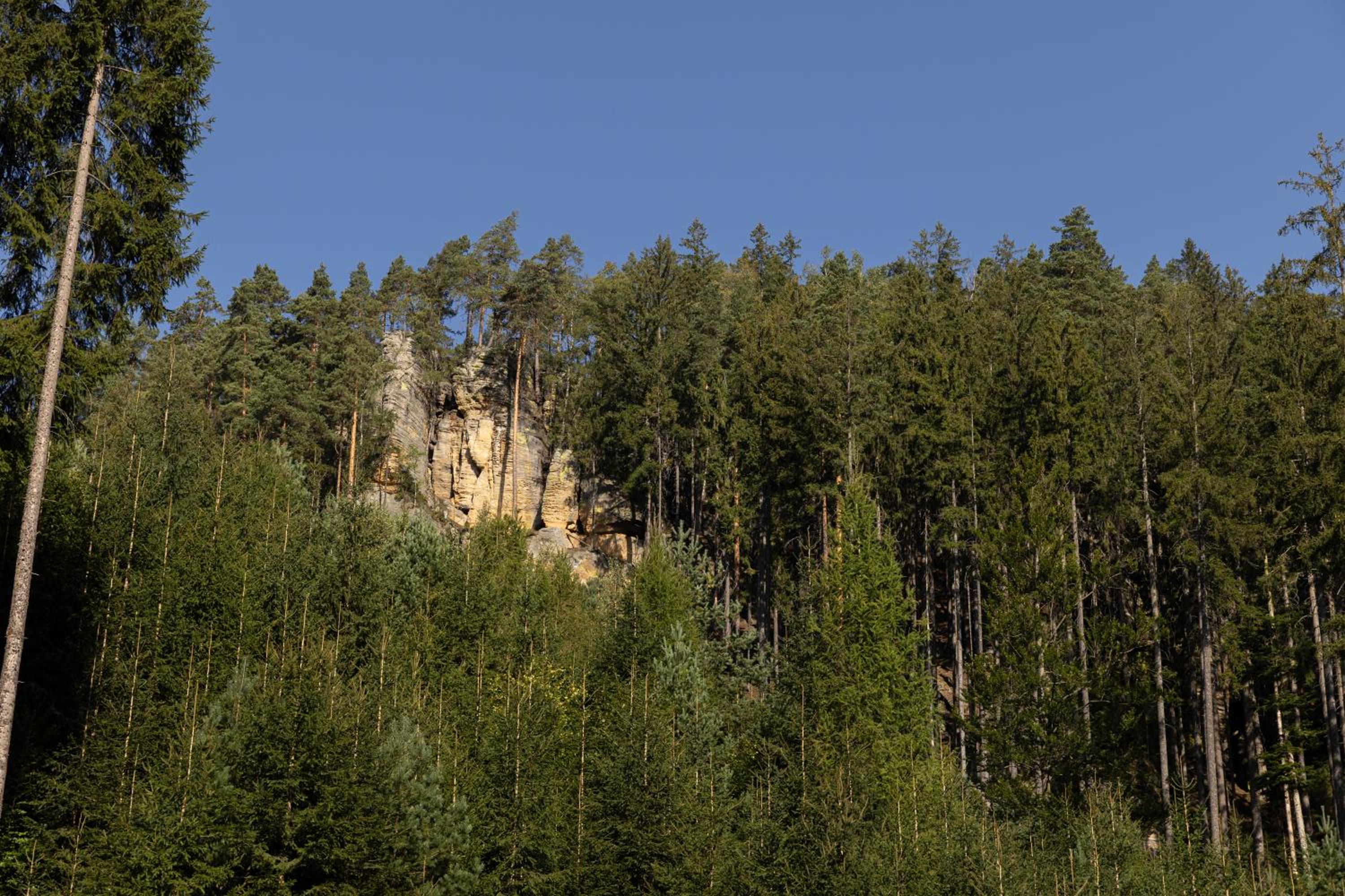 Apartmány Vilka Orlík