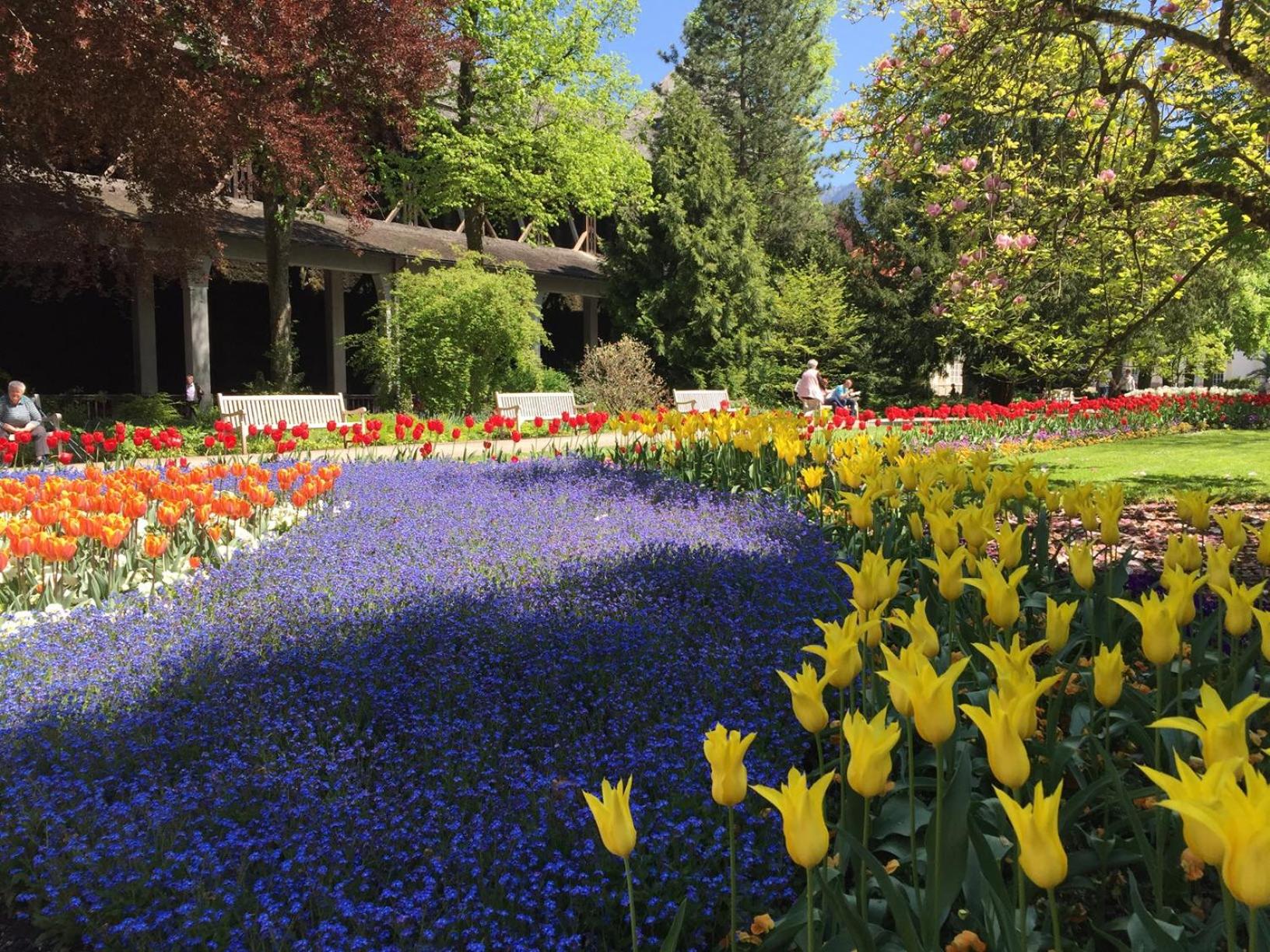 Ferienwohnung am Münster mit Alpenweitblick
