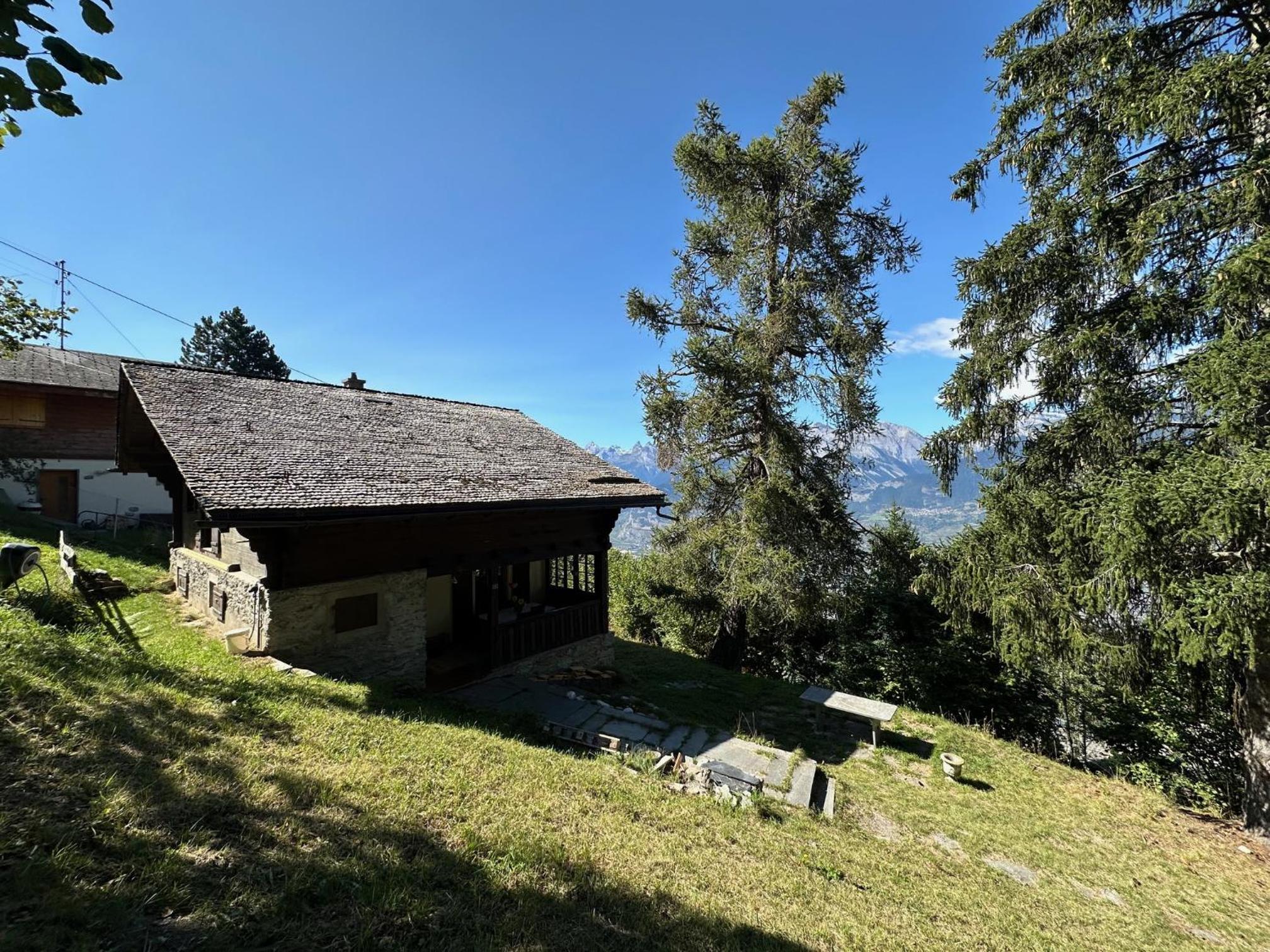 Chalet Praz Fontanettaz - 4 Valleys - Swiss Alps