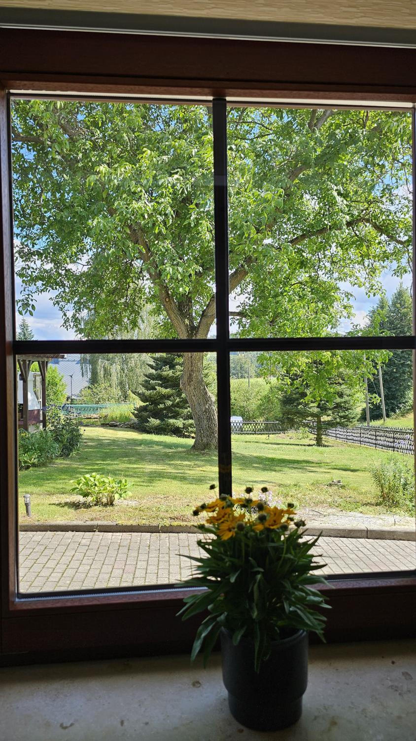 Ferienwohnung Am Augusttal