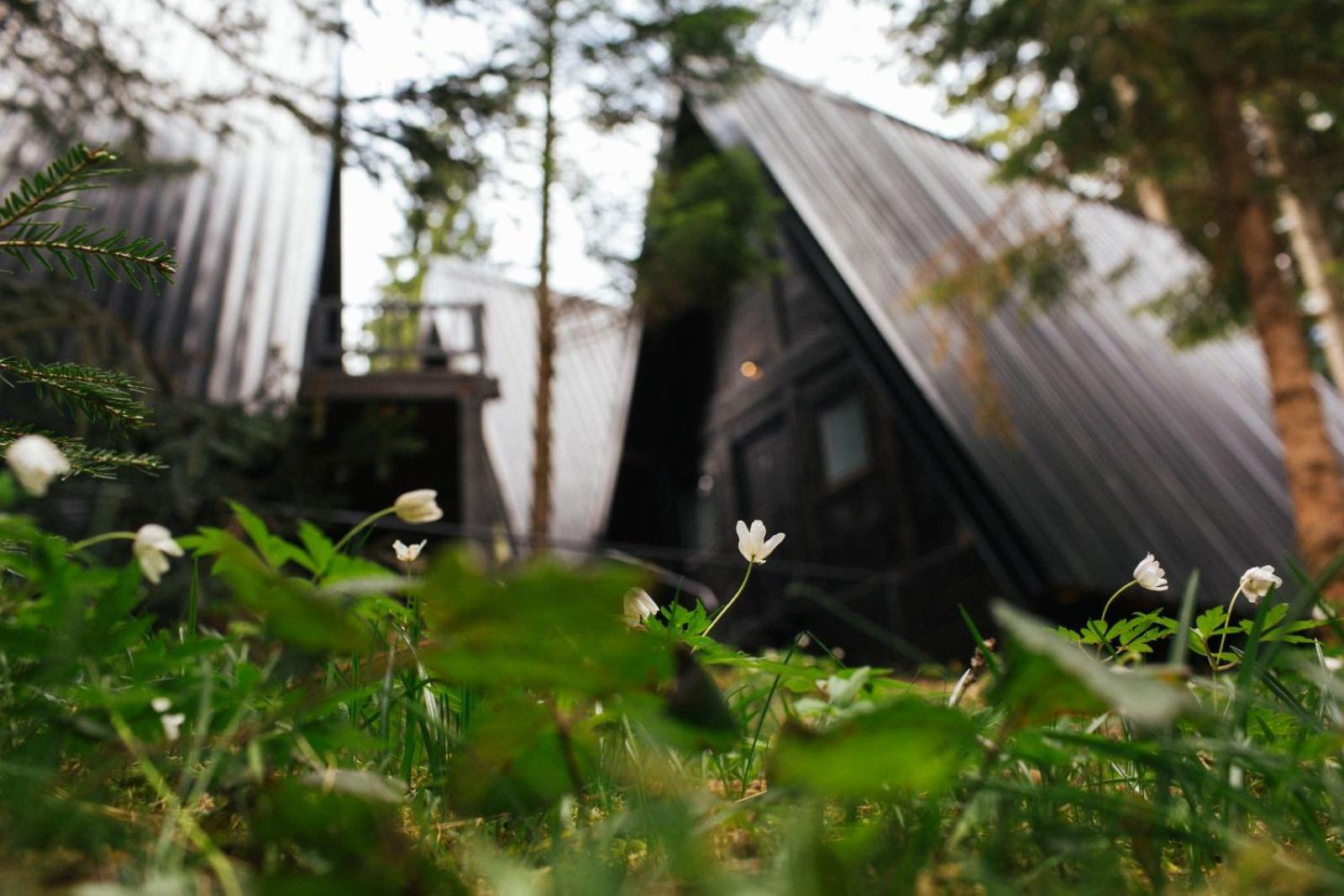 ZlatAir Black Boutique Chalets