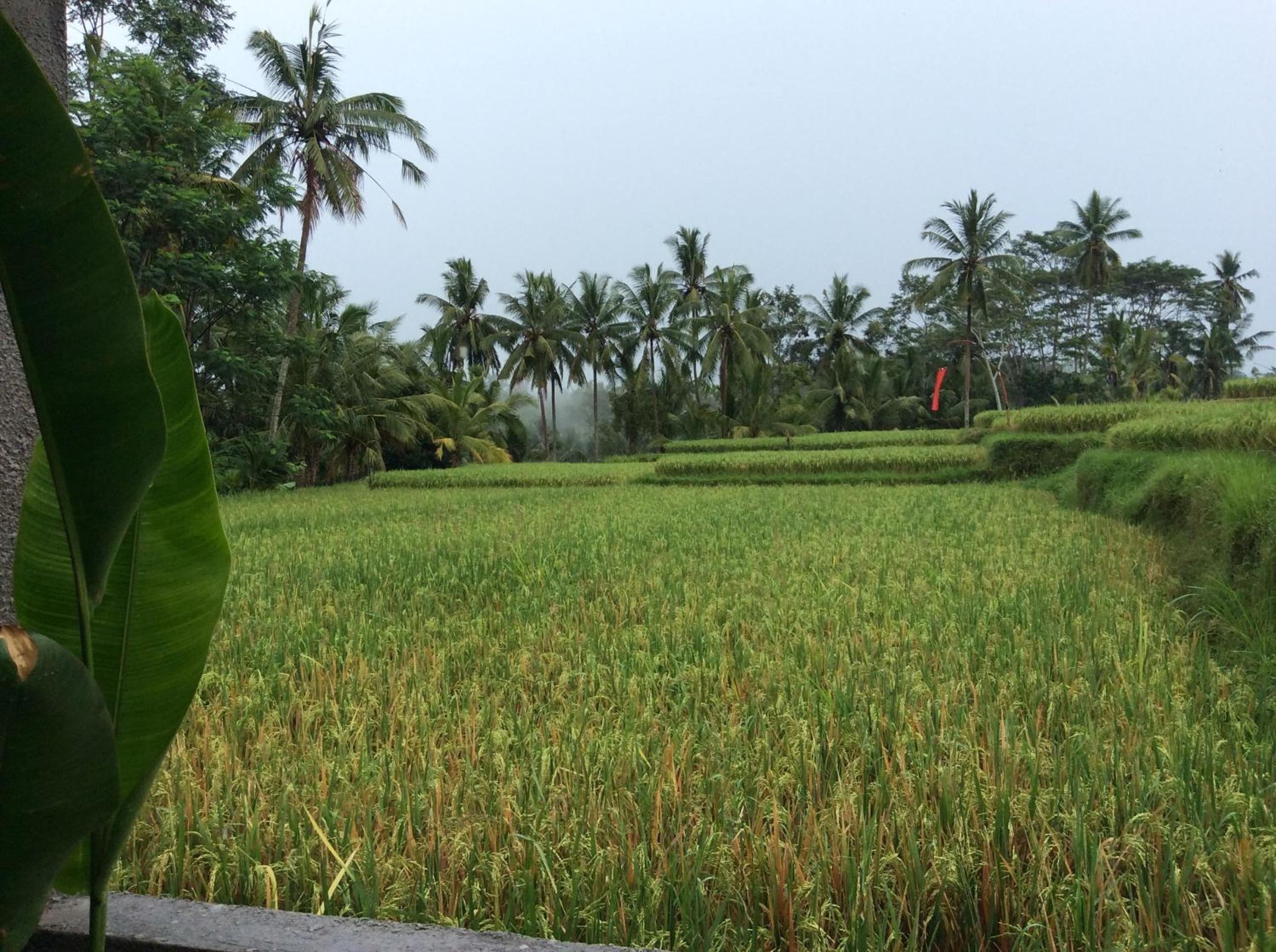 Anusara Luxury Villas