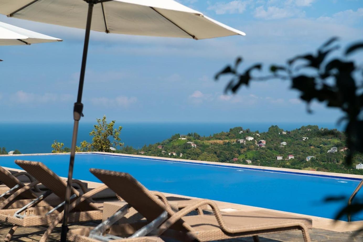 Roots Resort