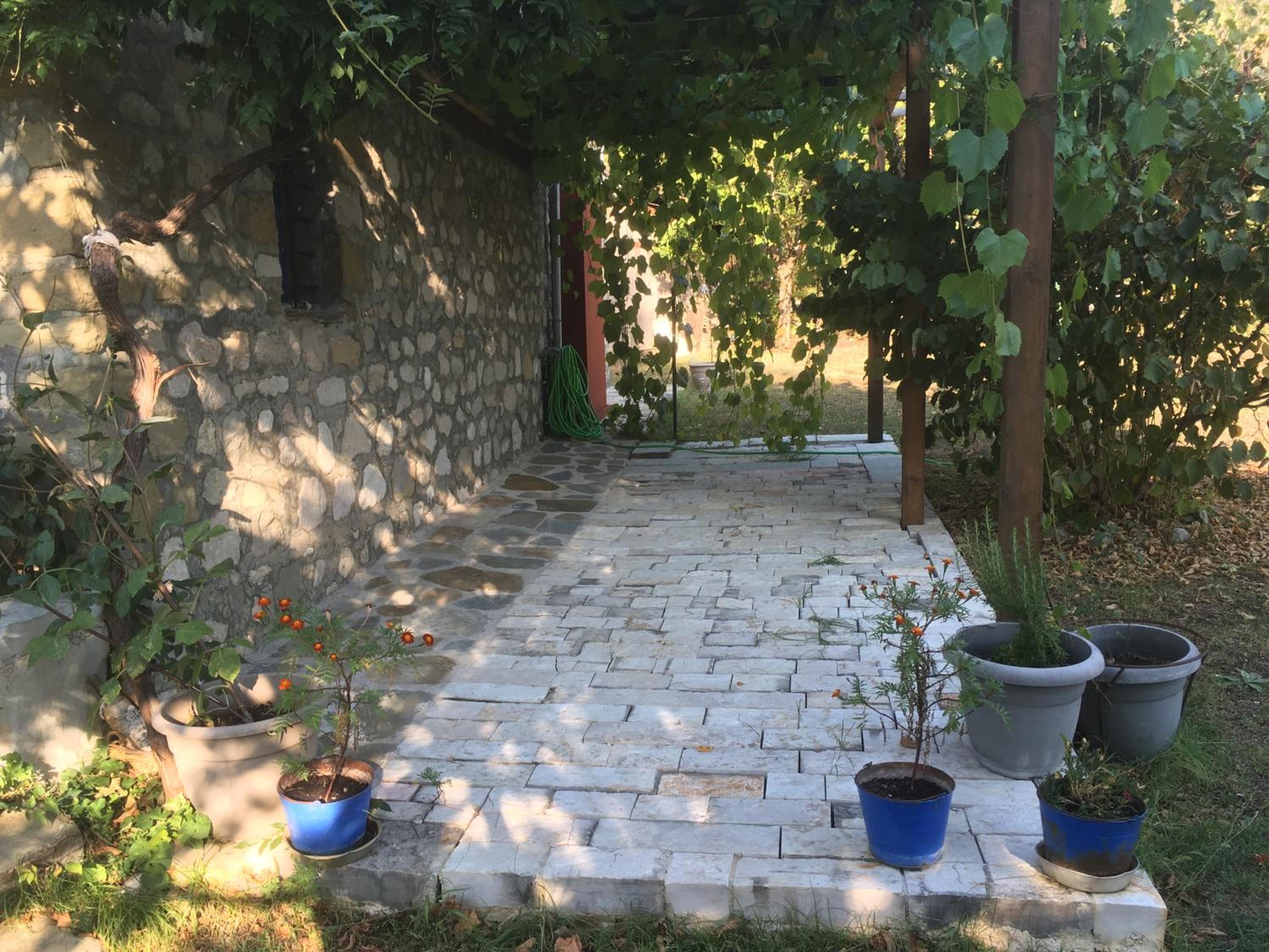 Photo 21