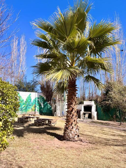 Grandiosa casa en el corazón de Chacras