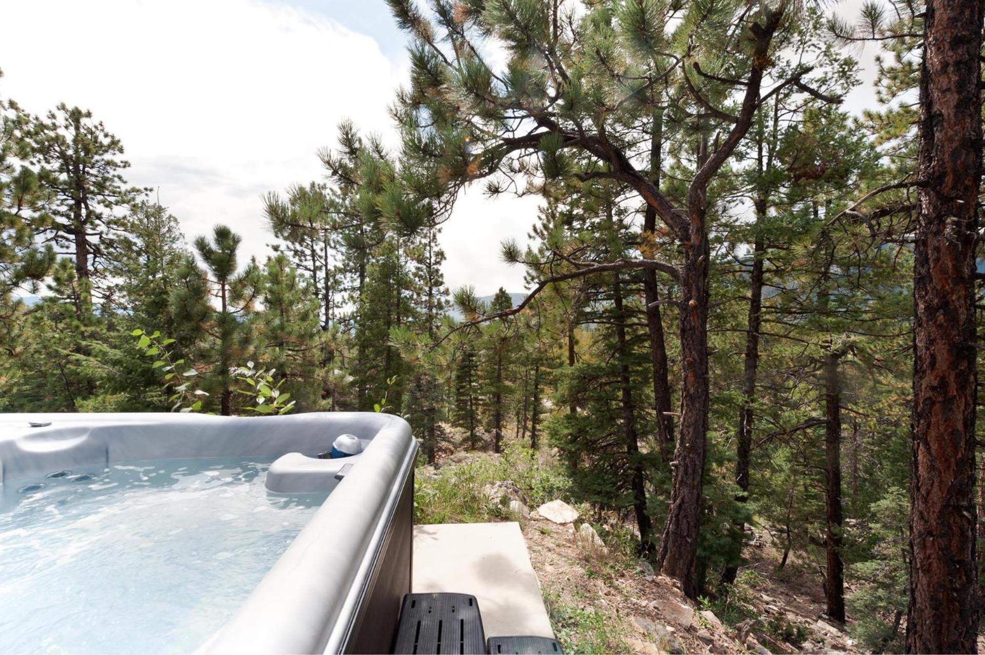 26 Big Pine Trail