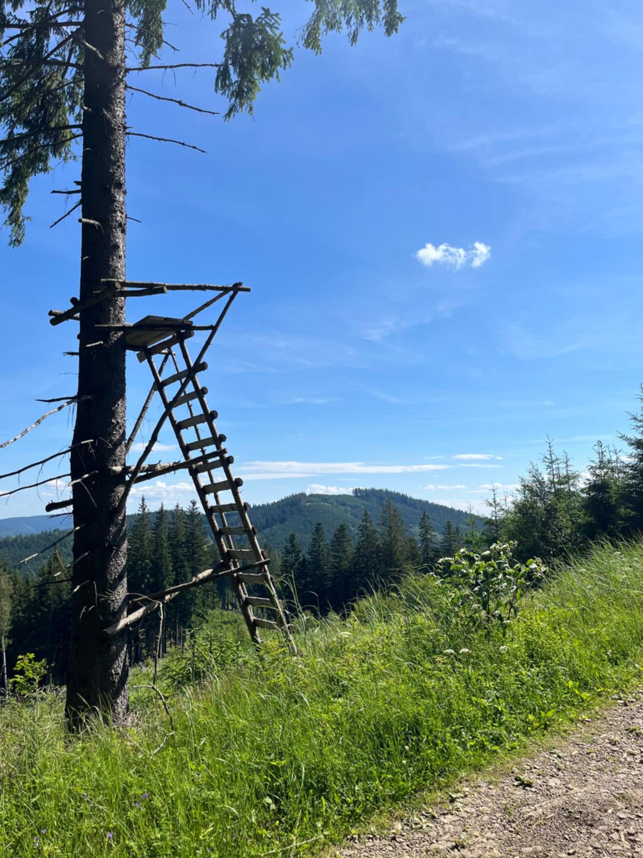 Apartmán La Šiška - Terasa