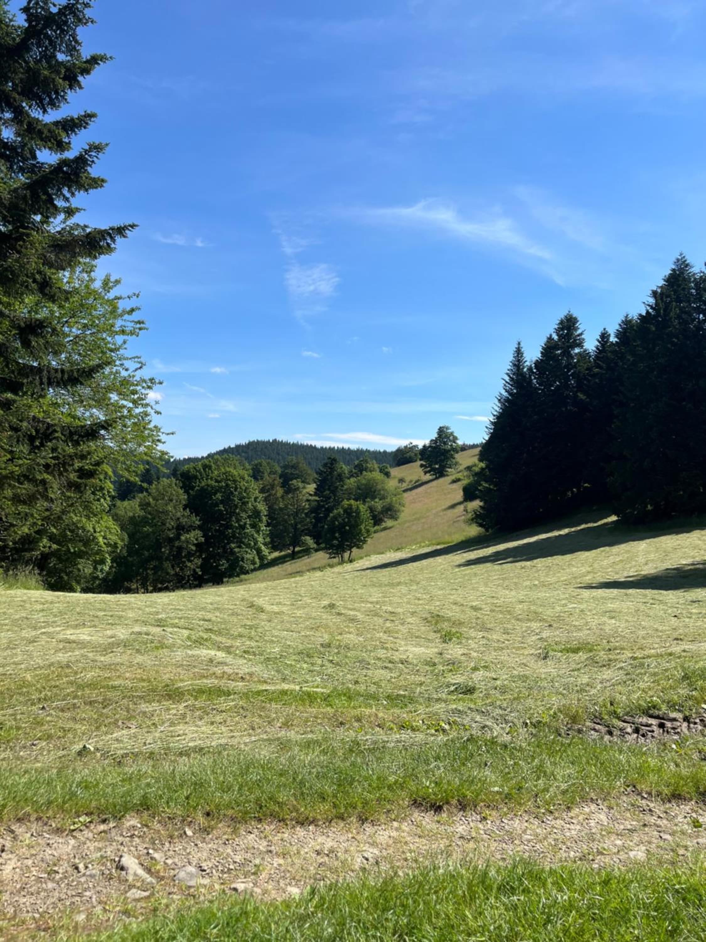 Apartmán La Šiška - Terasa