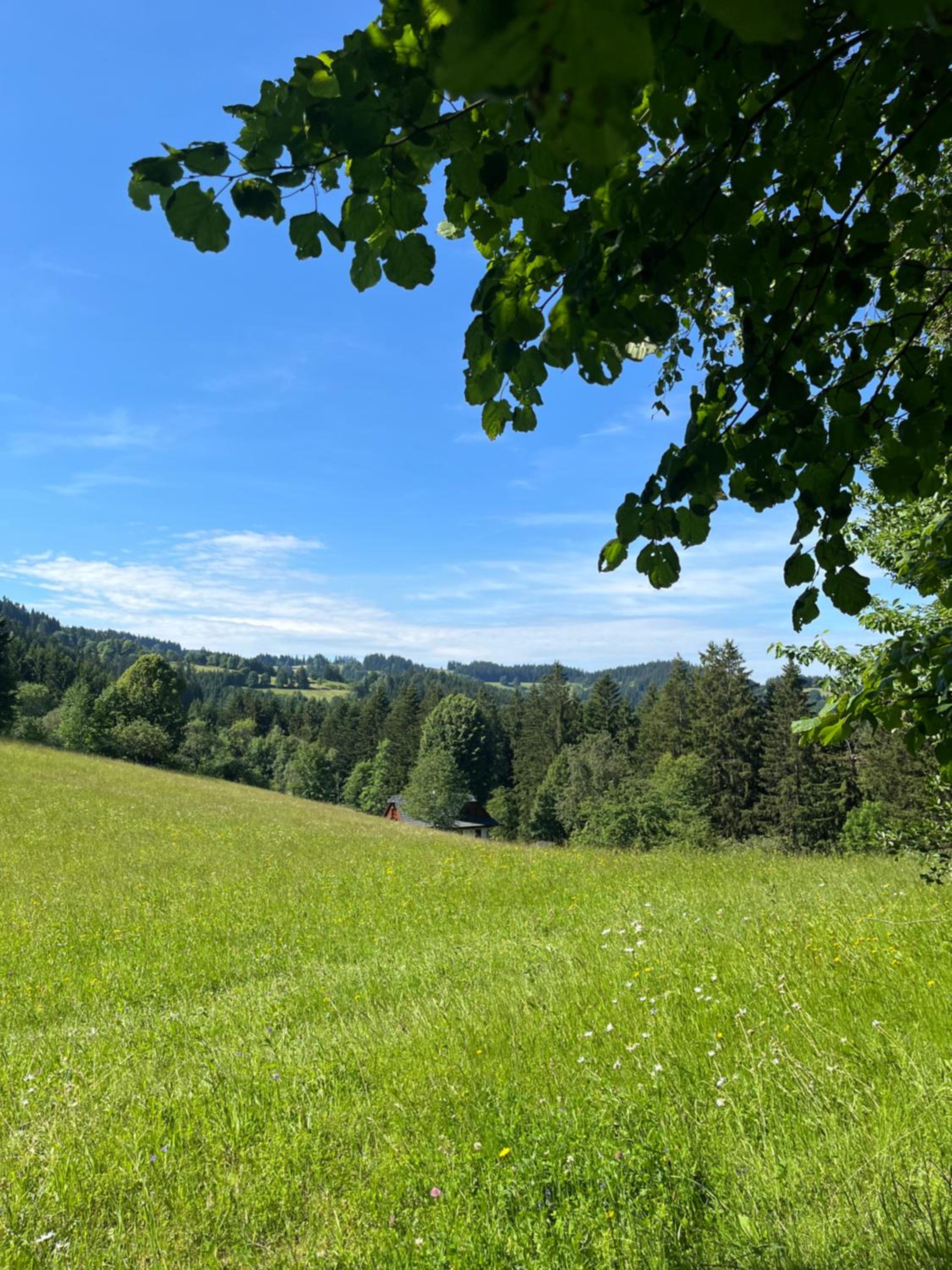 Apartmán La Šiška - Terasa