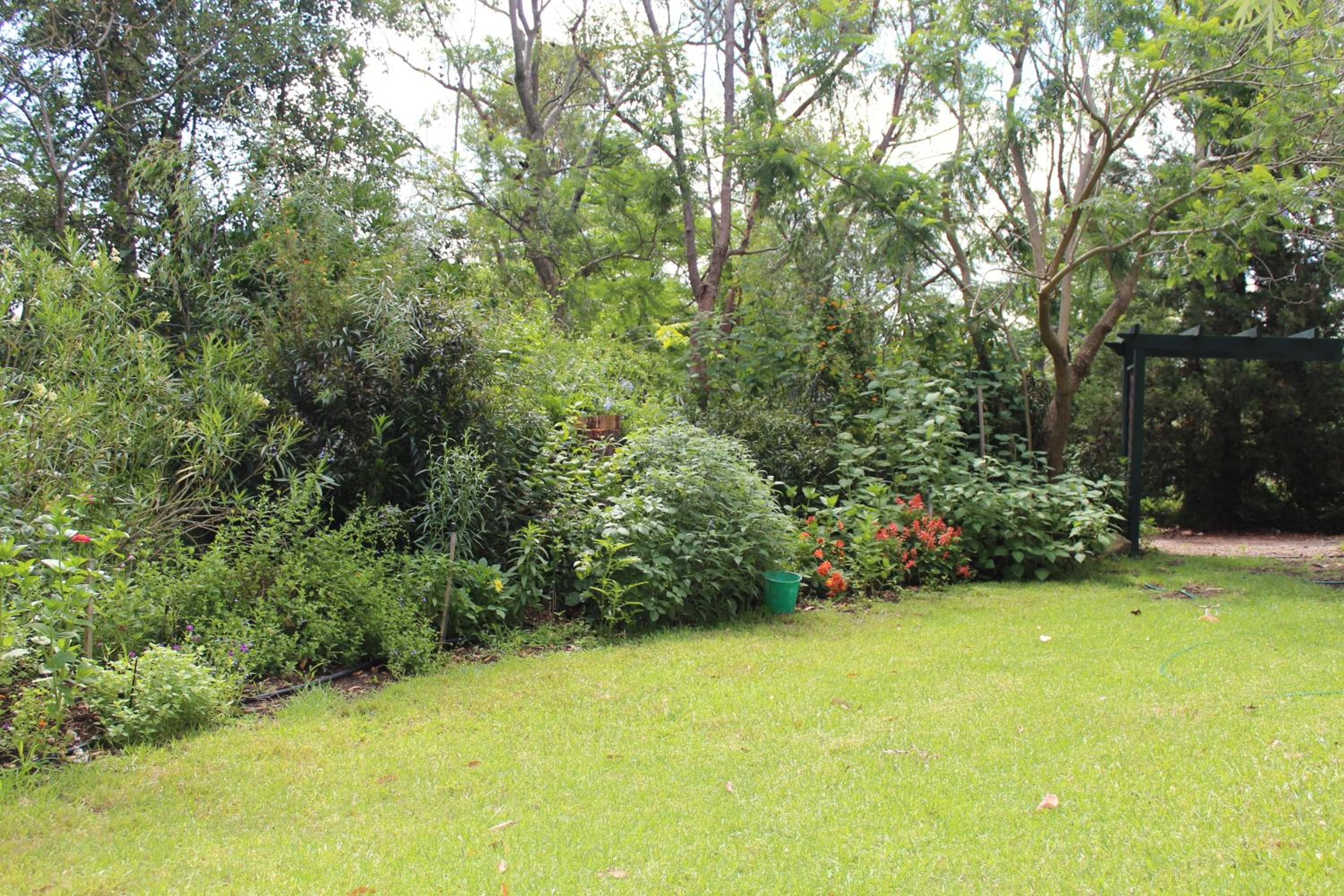 Photo 21