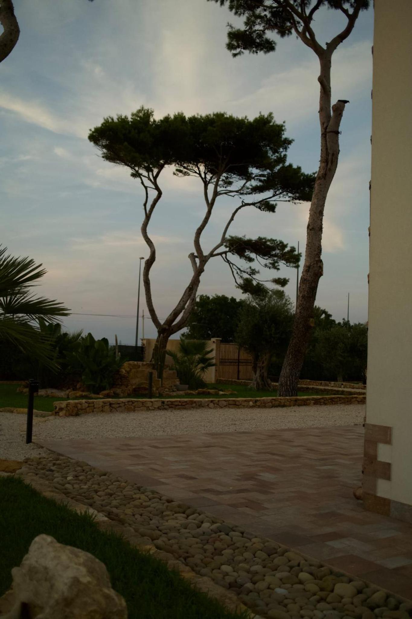 Villa Albamonte