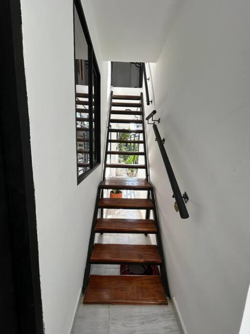 Hermoso Aparta Estudioa