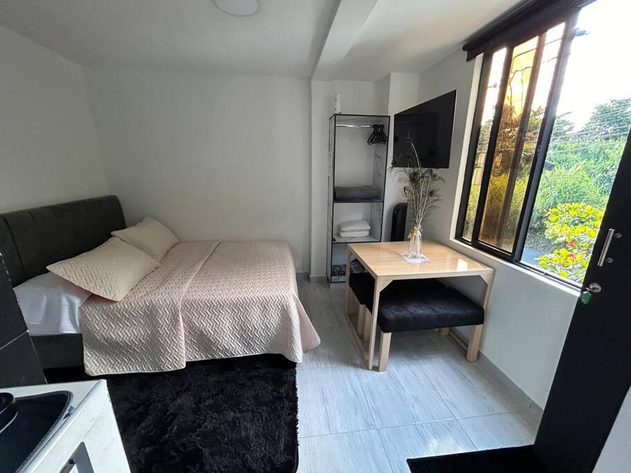 Hermoso Aparta Estudioa