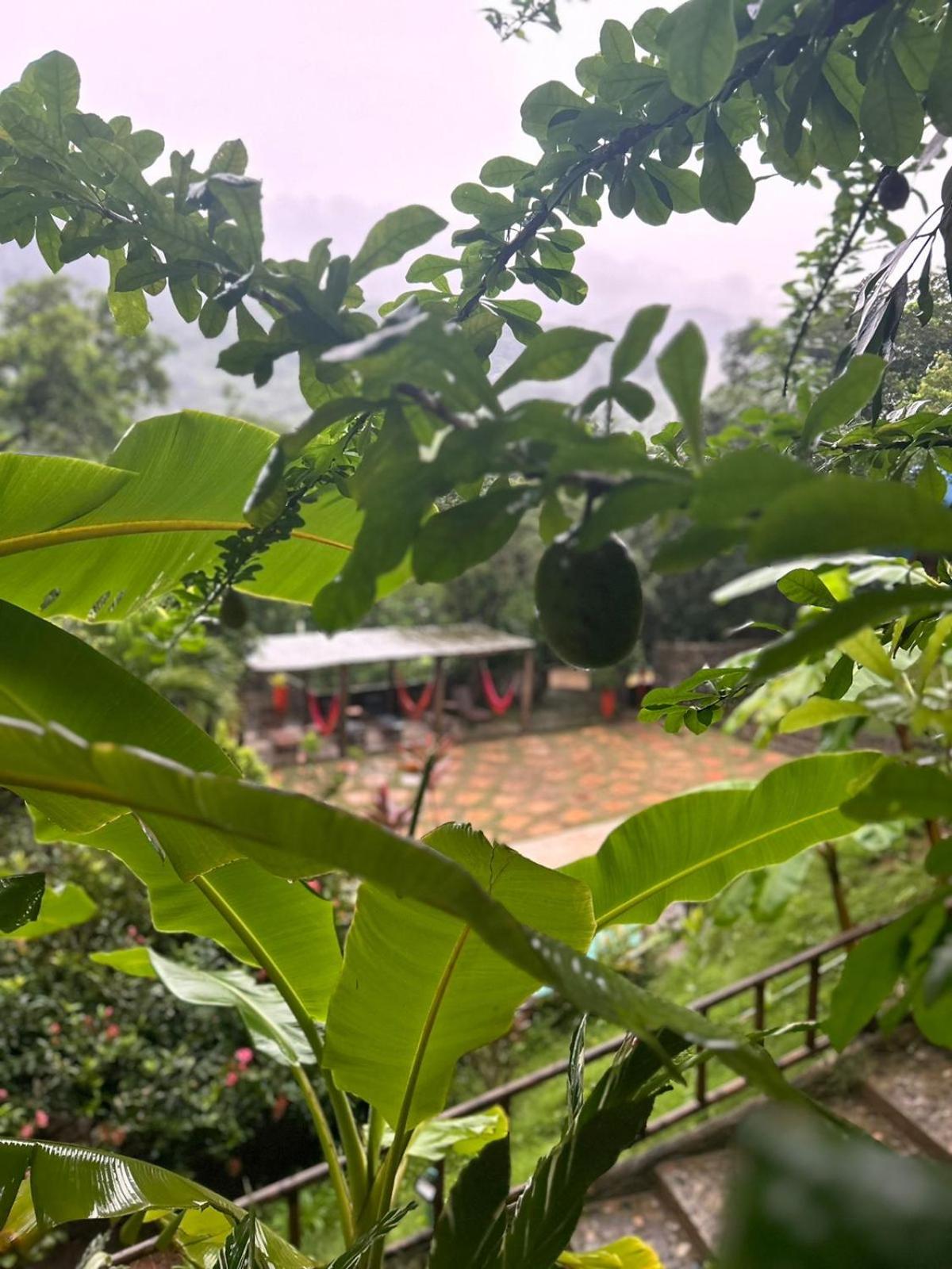 Neyumun Tayrona Eco & Spa