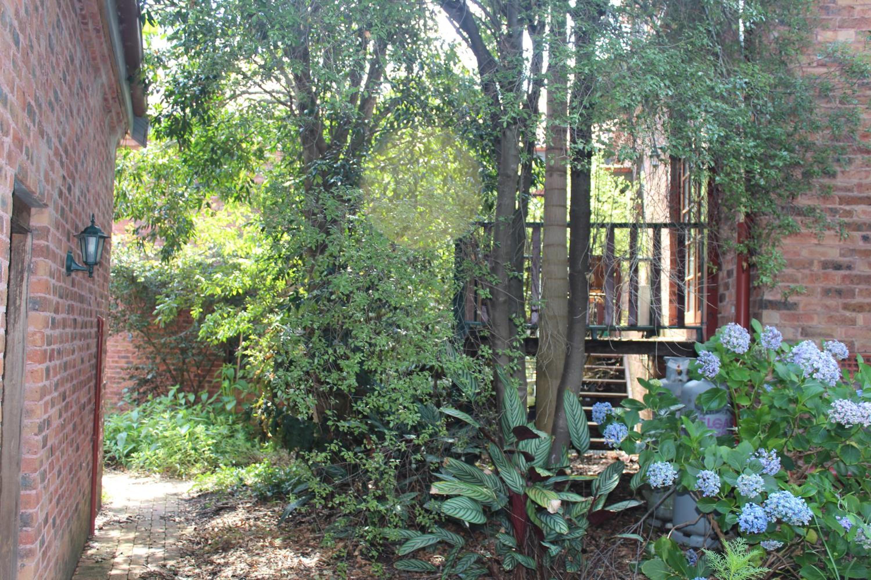 Photo 15