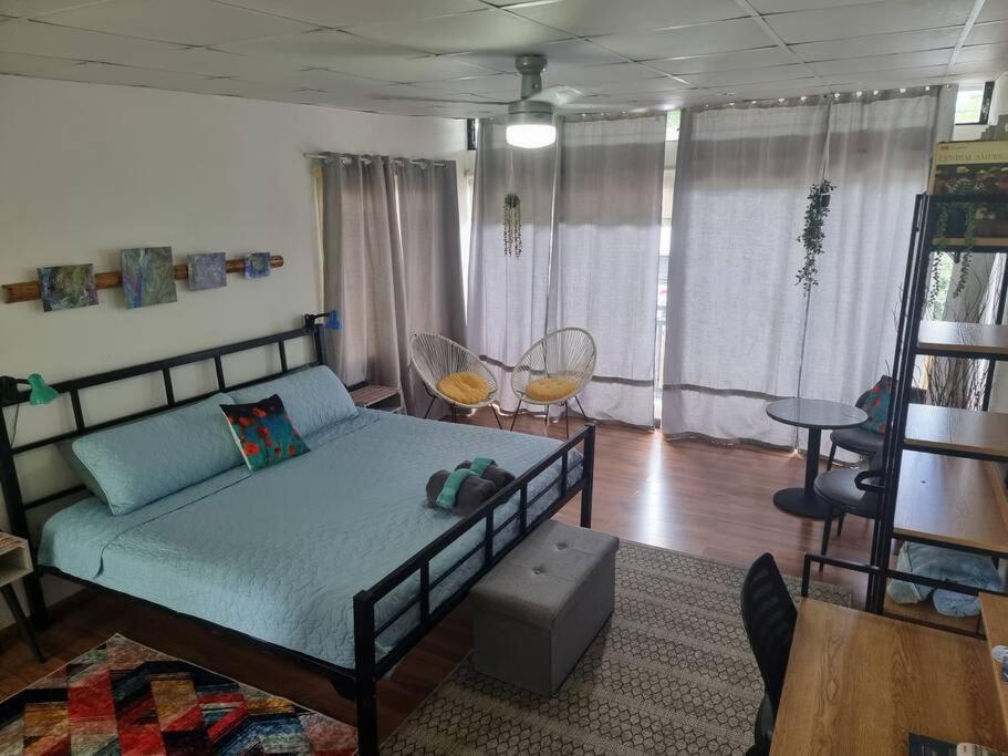 Cool Loft with King Bed 10 mins David 20 mins to Boquete