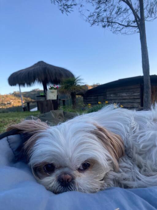 ACOGEDORA Casa de CAMPO