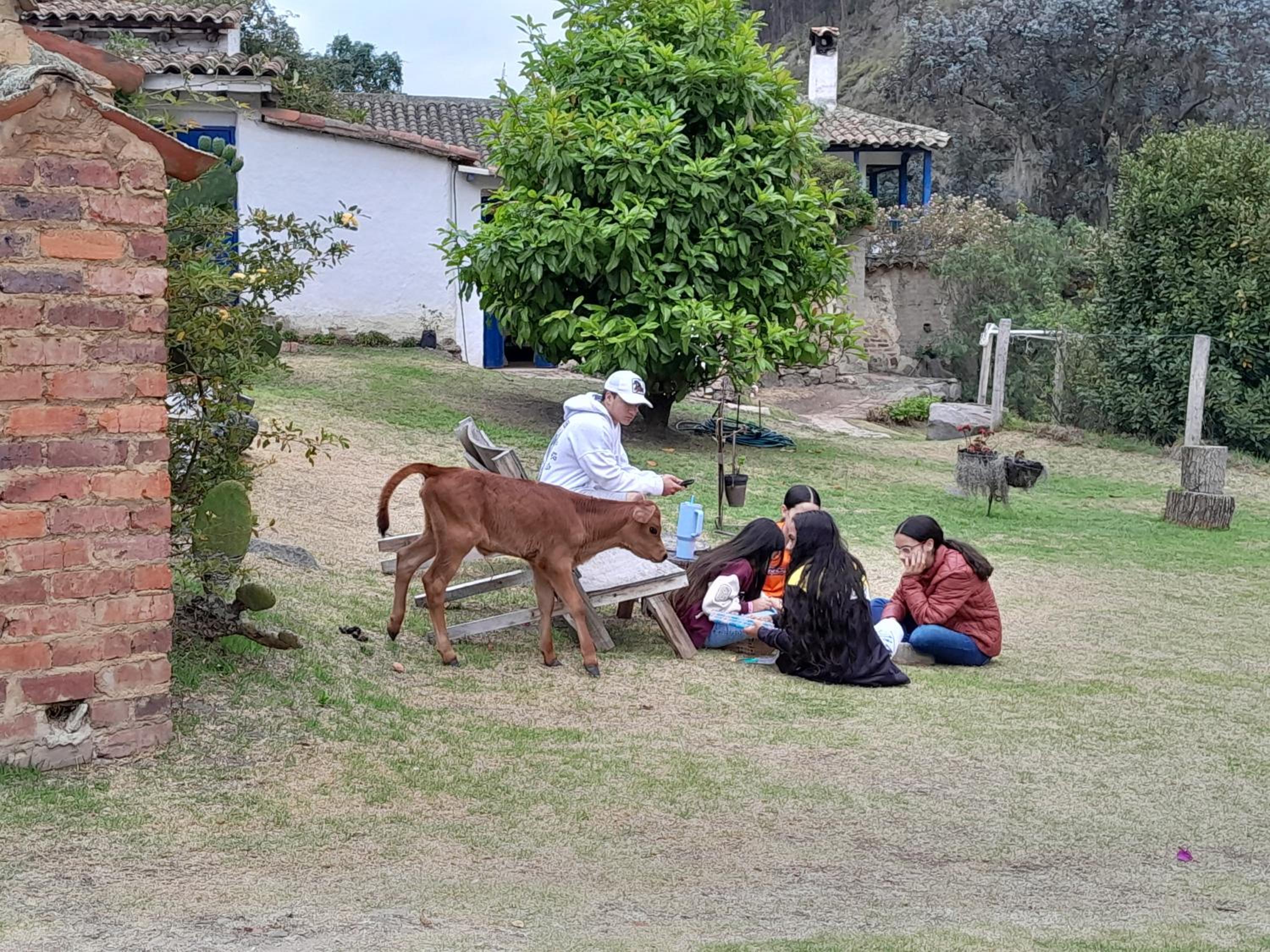 Posada El Molino de San Luis