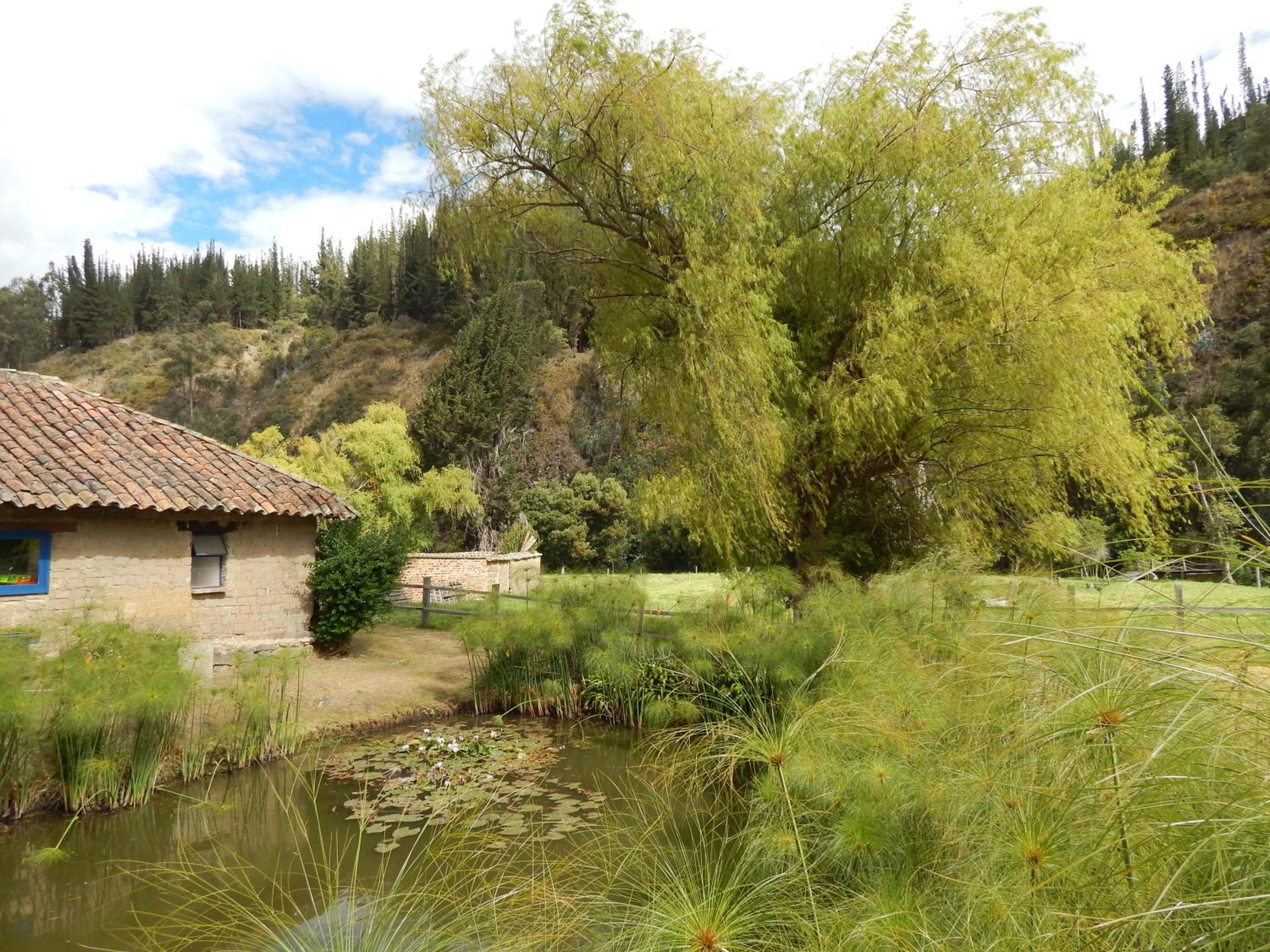 Posada El Molino de San Luis