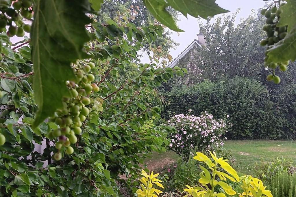 Villa de charme élégante, calme, nature