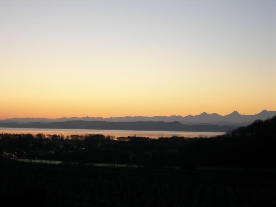Villa de charme élégante, calme, nature