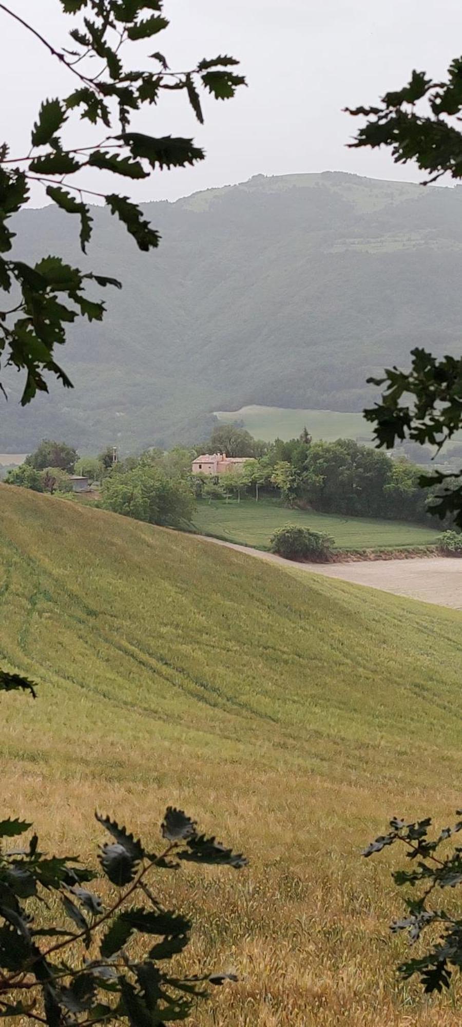 Ca'Solare Corticelli