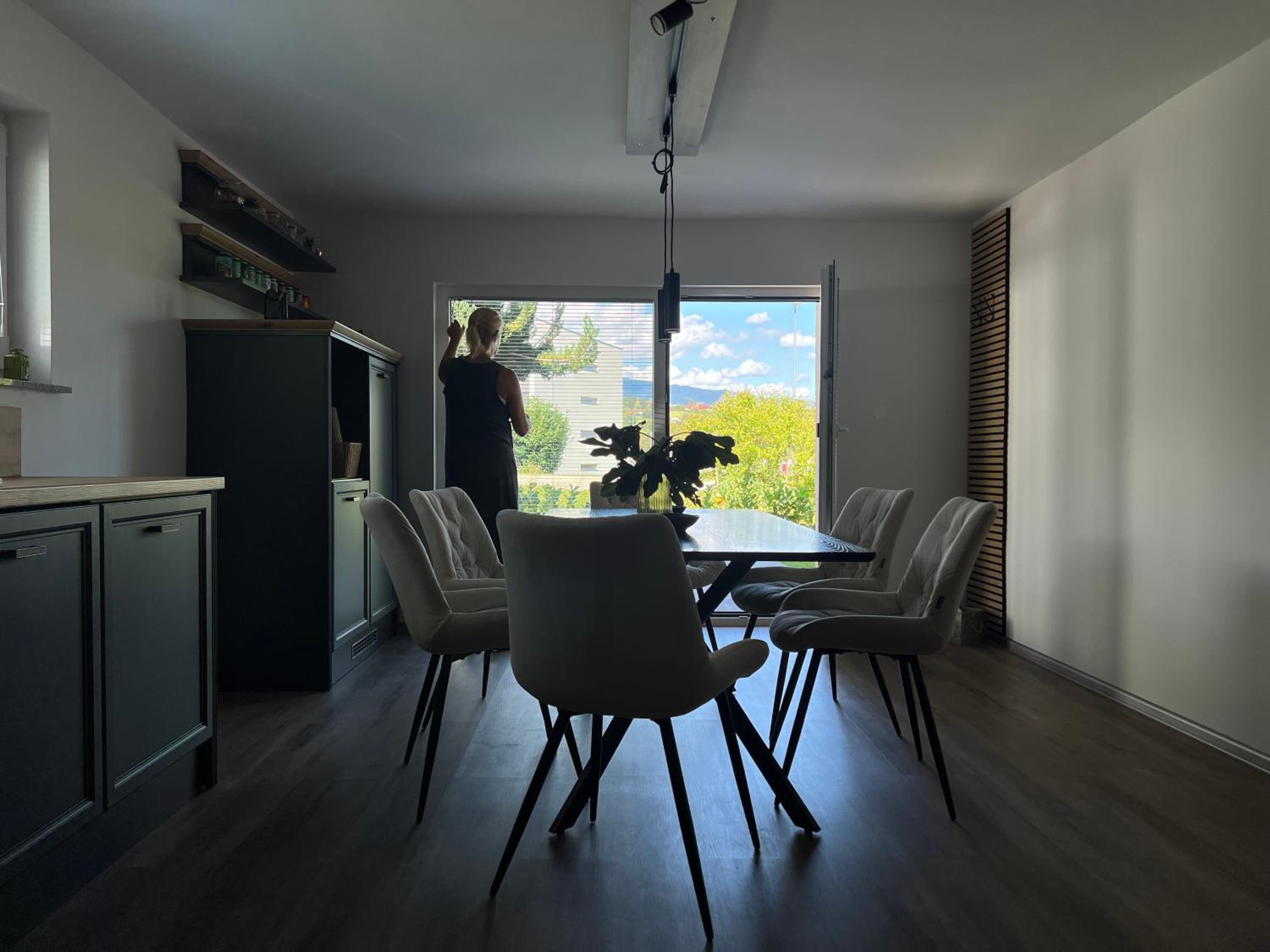 Apartma - Hiša Zofija view 4