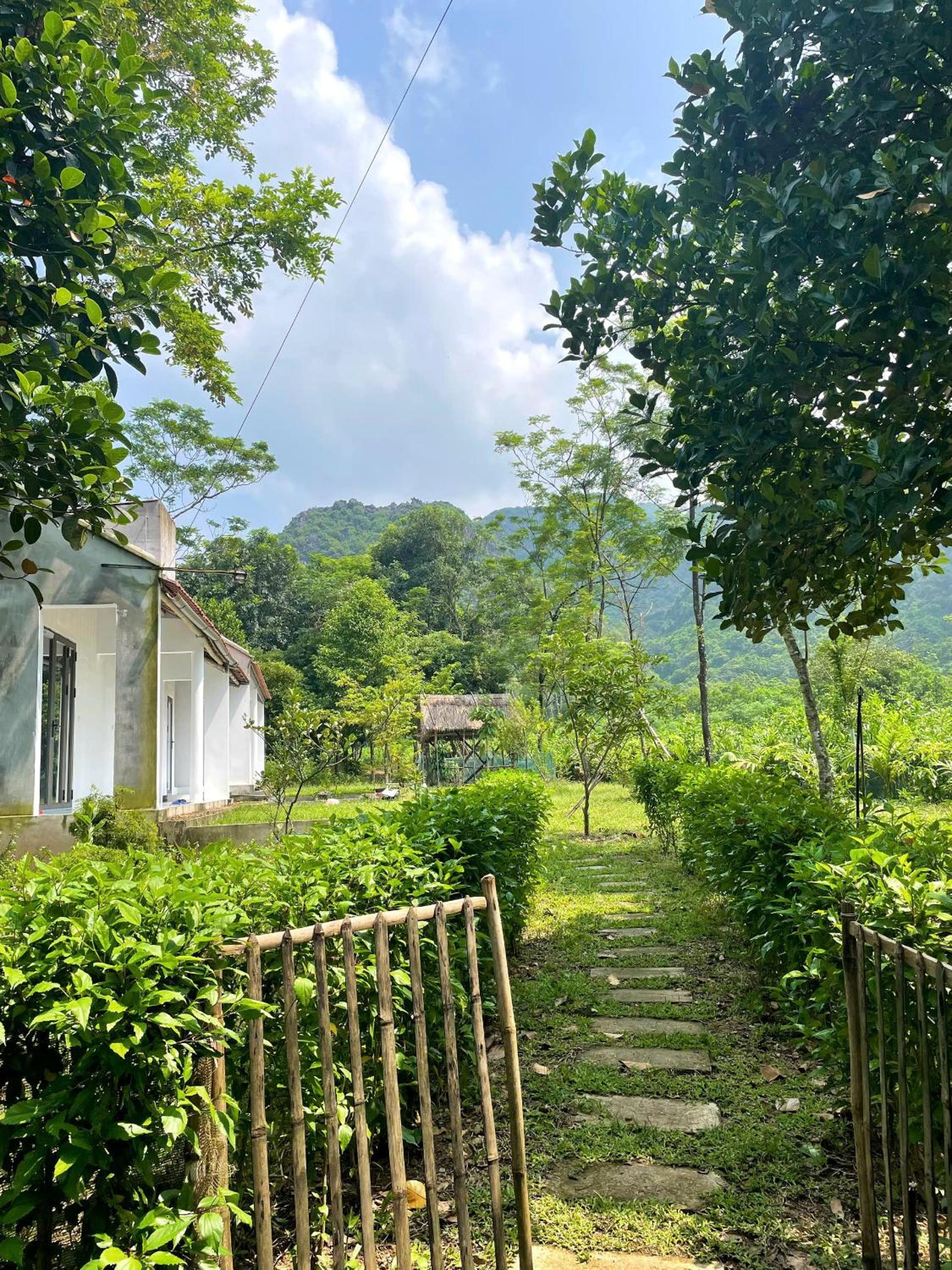 The Garden Homestay view 3